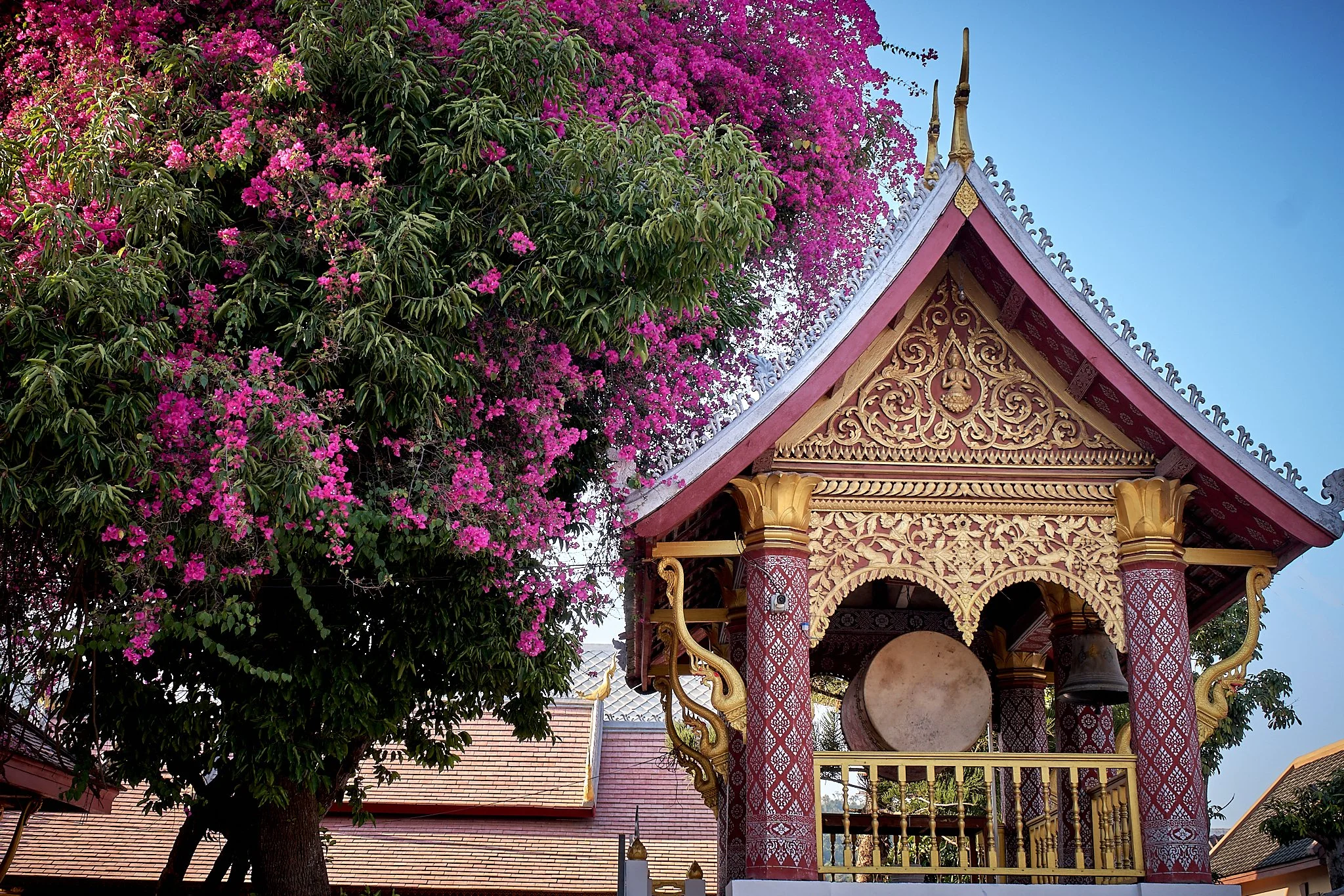 Asia 2026 Extra 5.jpg