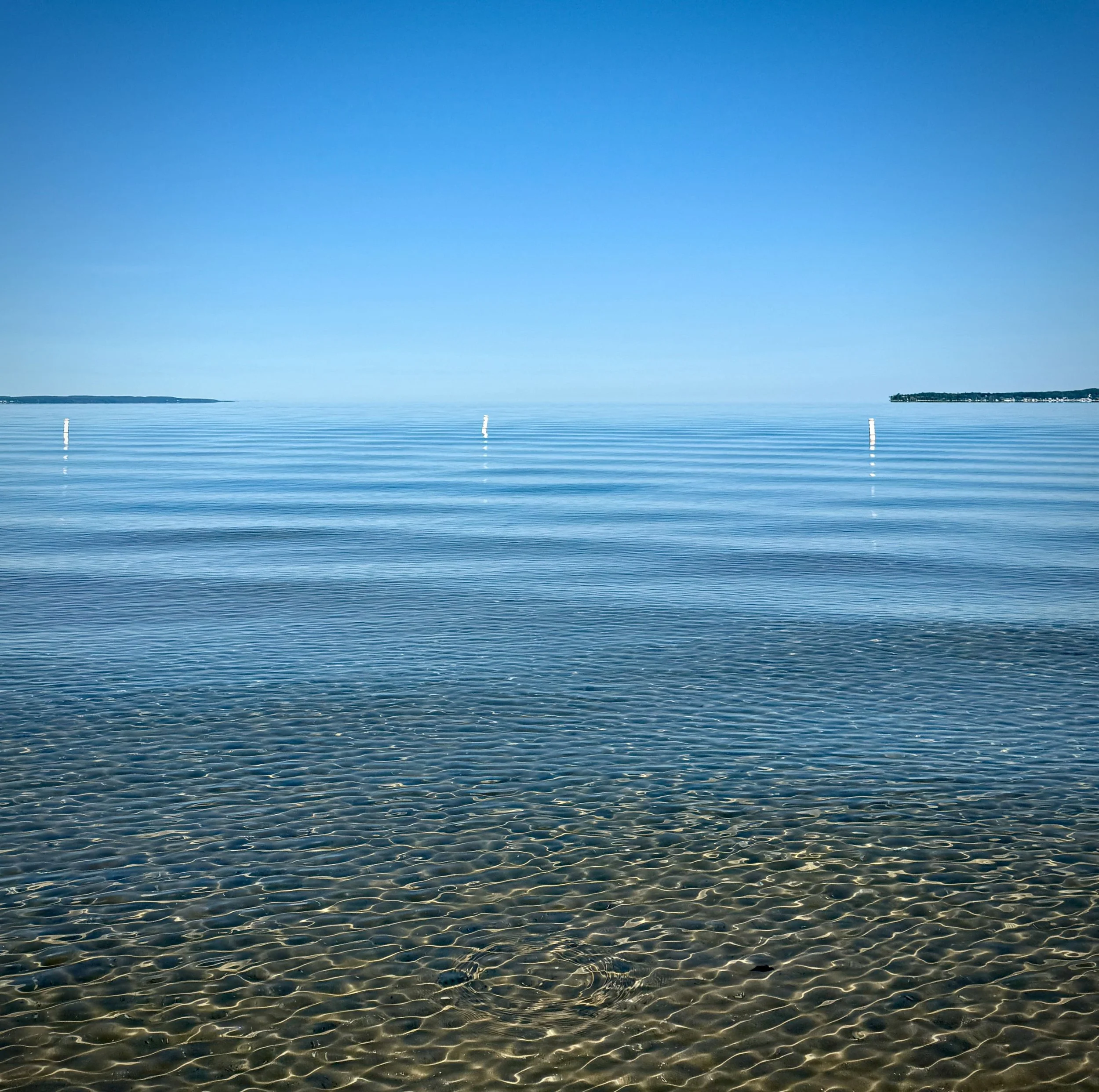 IMG_1206 (1).jpeg