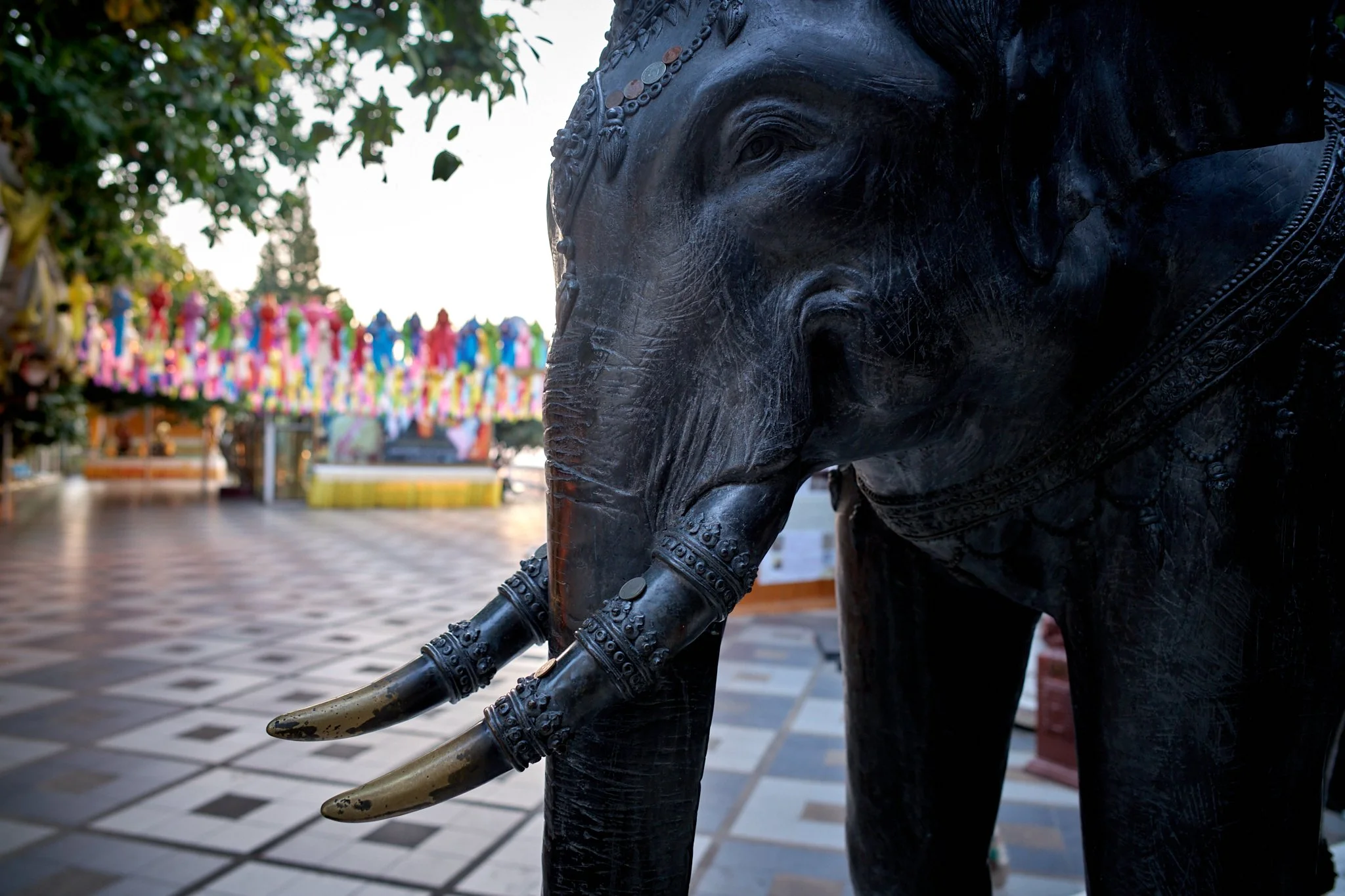 Asia 2026 Chiang Mai 4.jpg