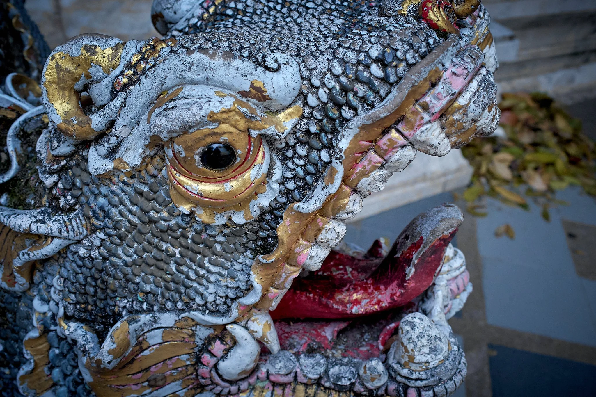 Asia 2026 Chiang Mai 3.jpg