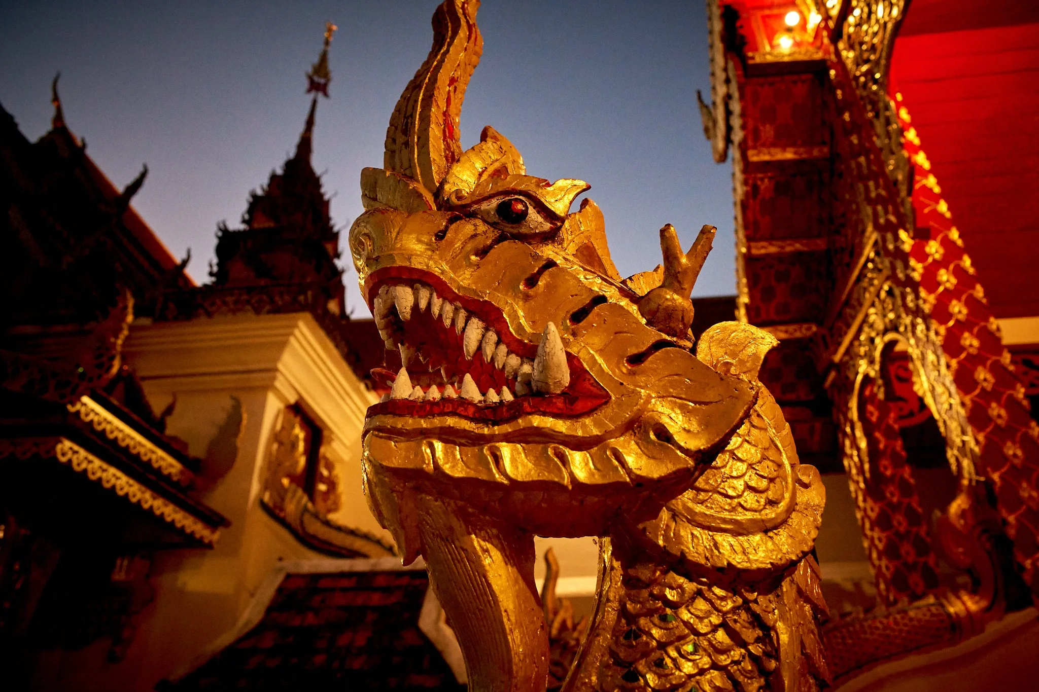 Asia 2026 Extra 2.jpg