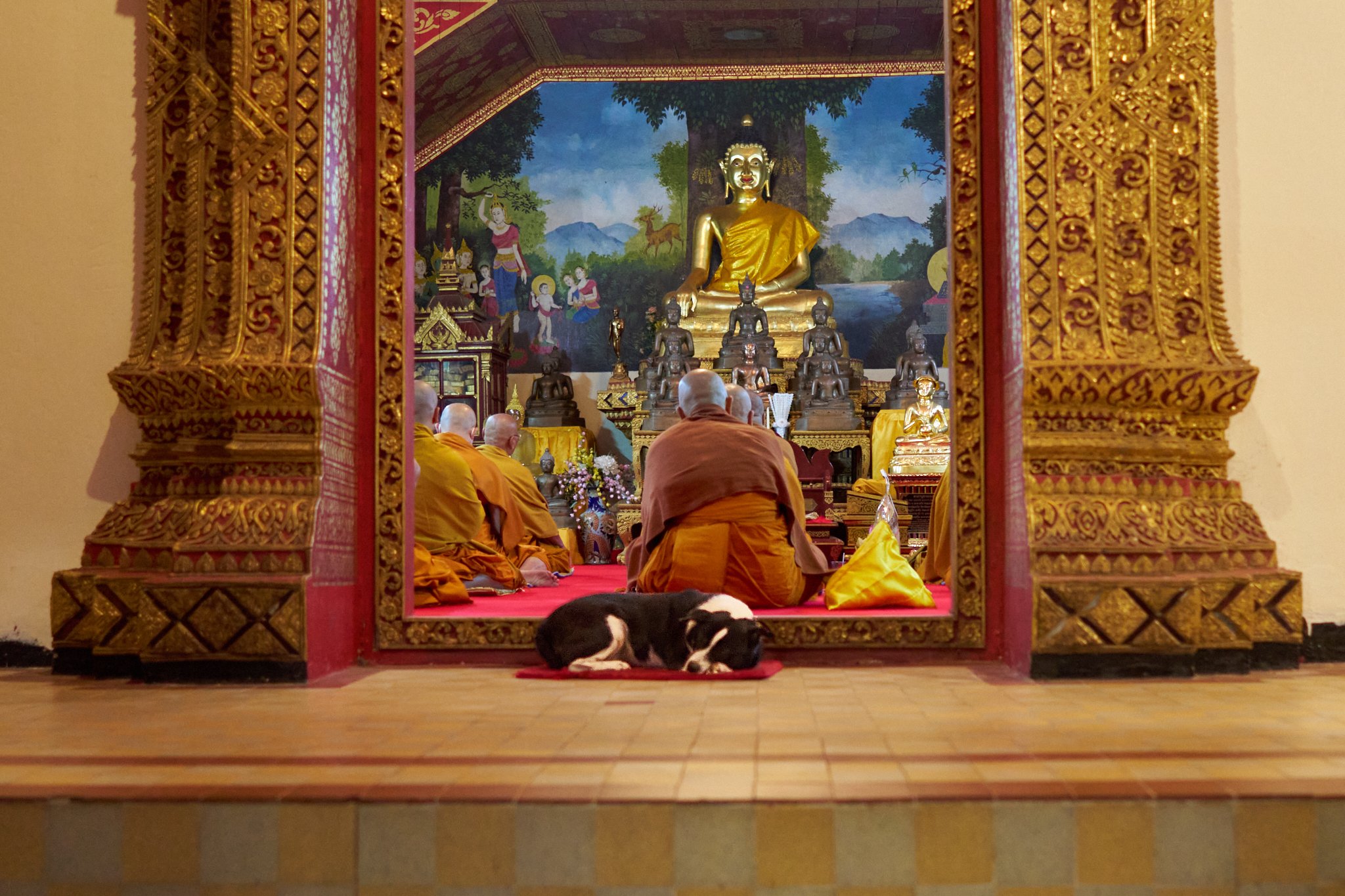 Asia 2026 Chiang Mai 1.jpg