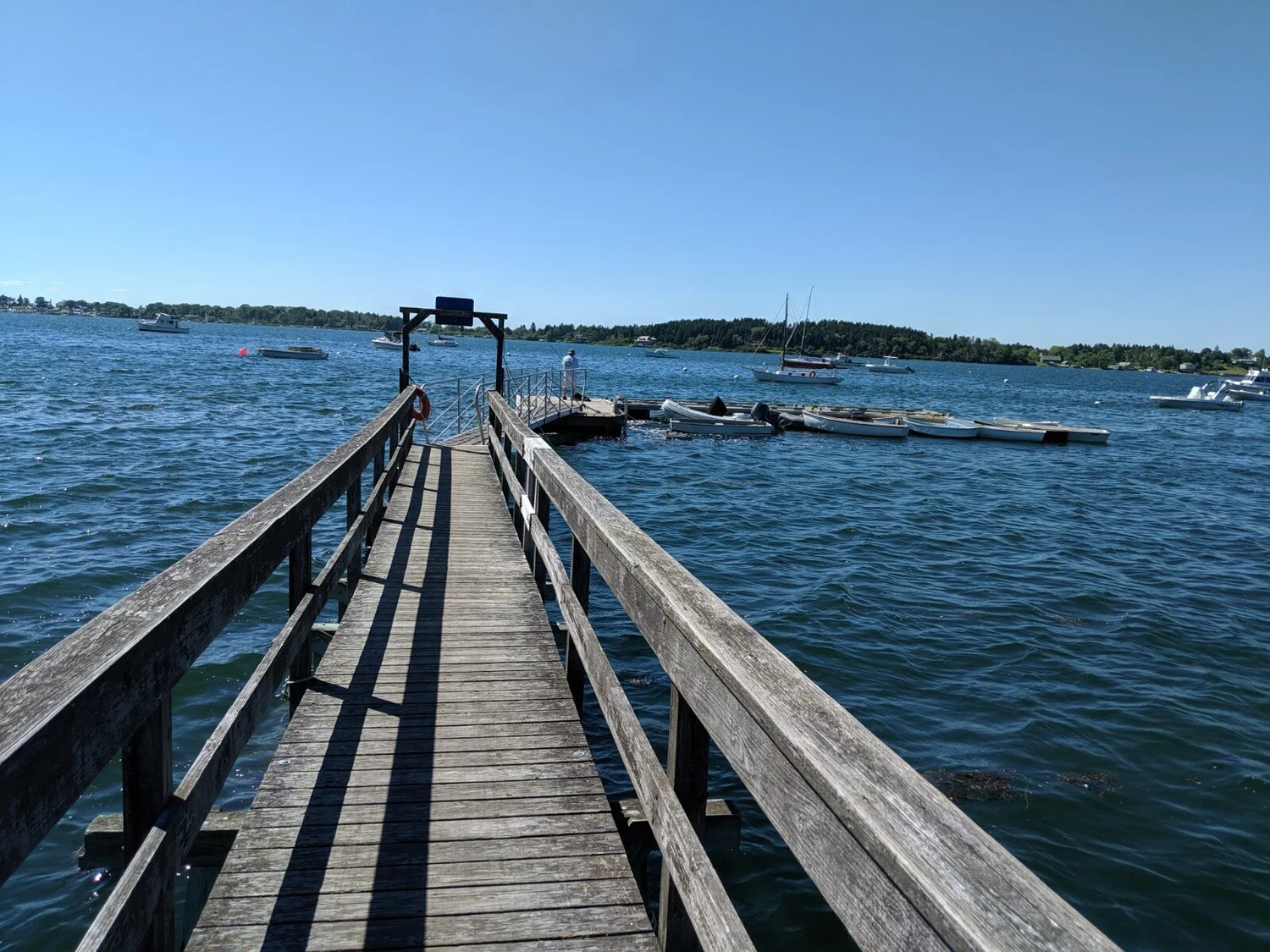 Location — Rocky Coast Cruises Maine Sightseeing Cruises Casco Bay
