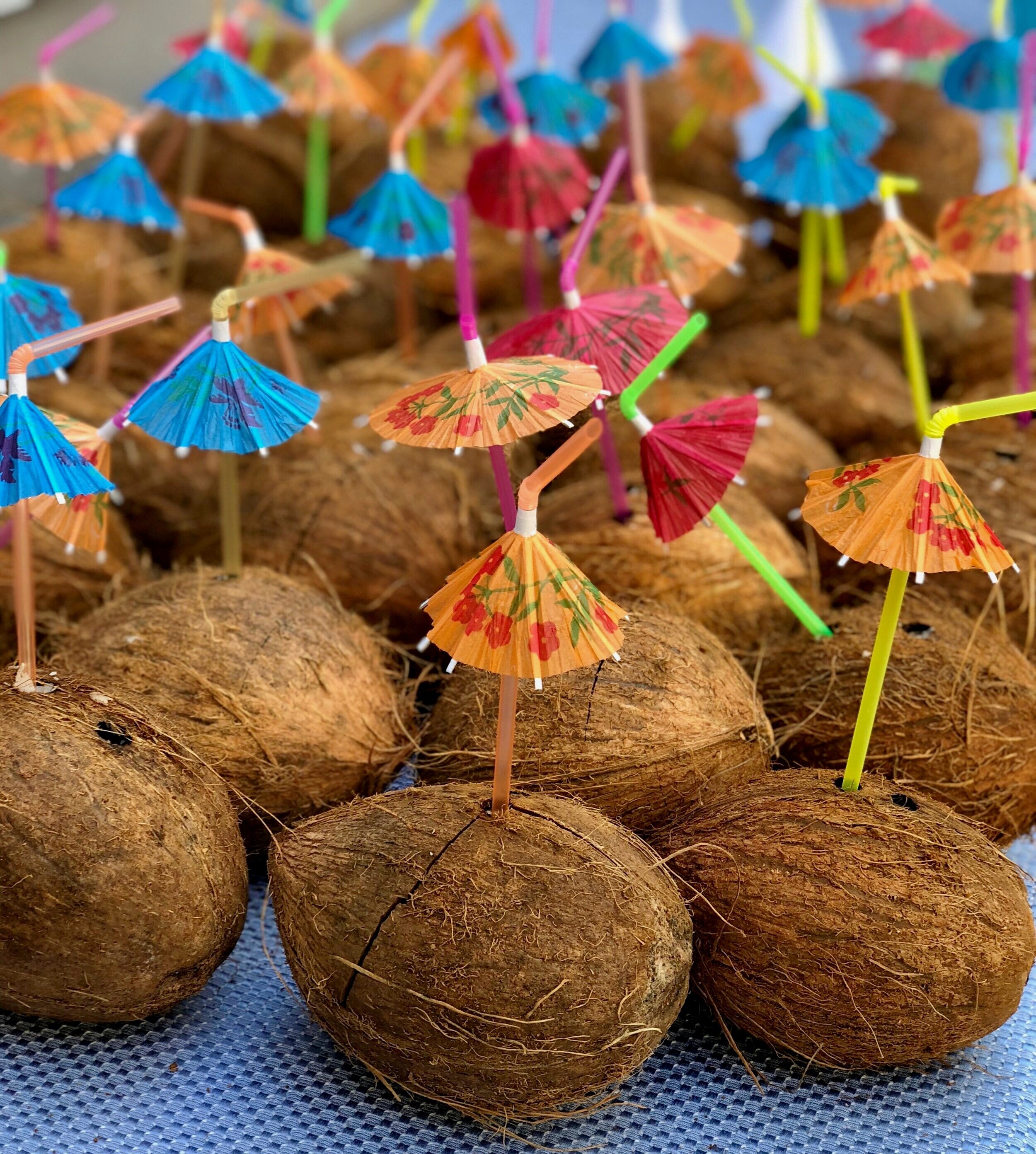 Coconut shell flower🌼 coconut shell craft💡 #coconutshellcraft  #coconutbowls🌴 #coconutshellpot #coconutshellcraftideas #cricket