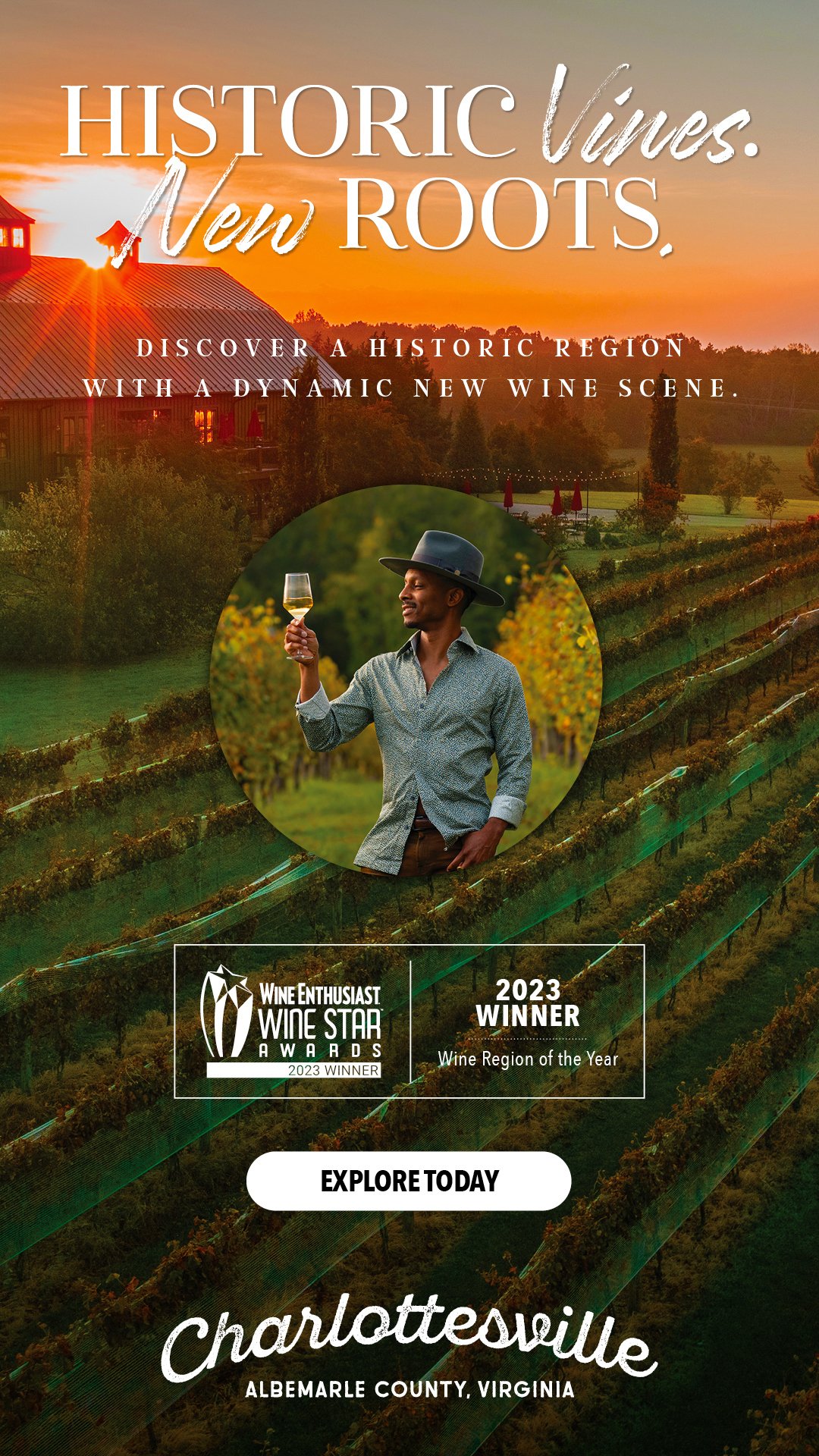 V2-Wine_Enthusiast_Mobile_180x1920.jpg