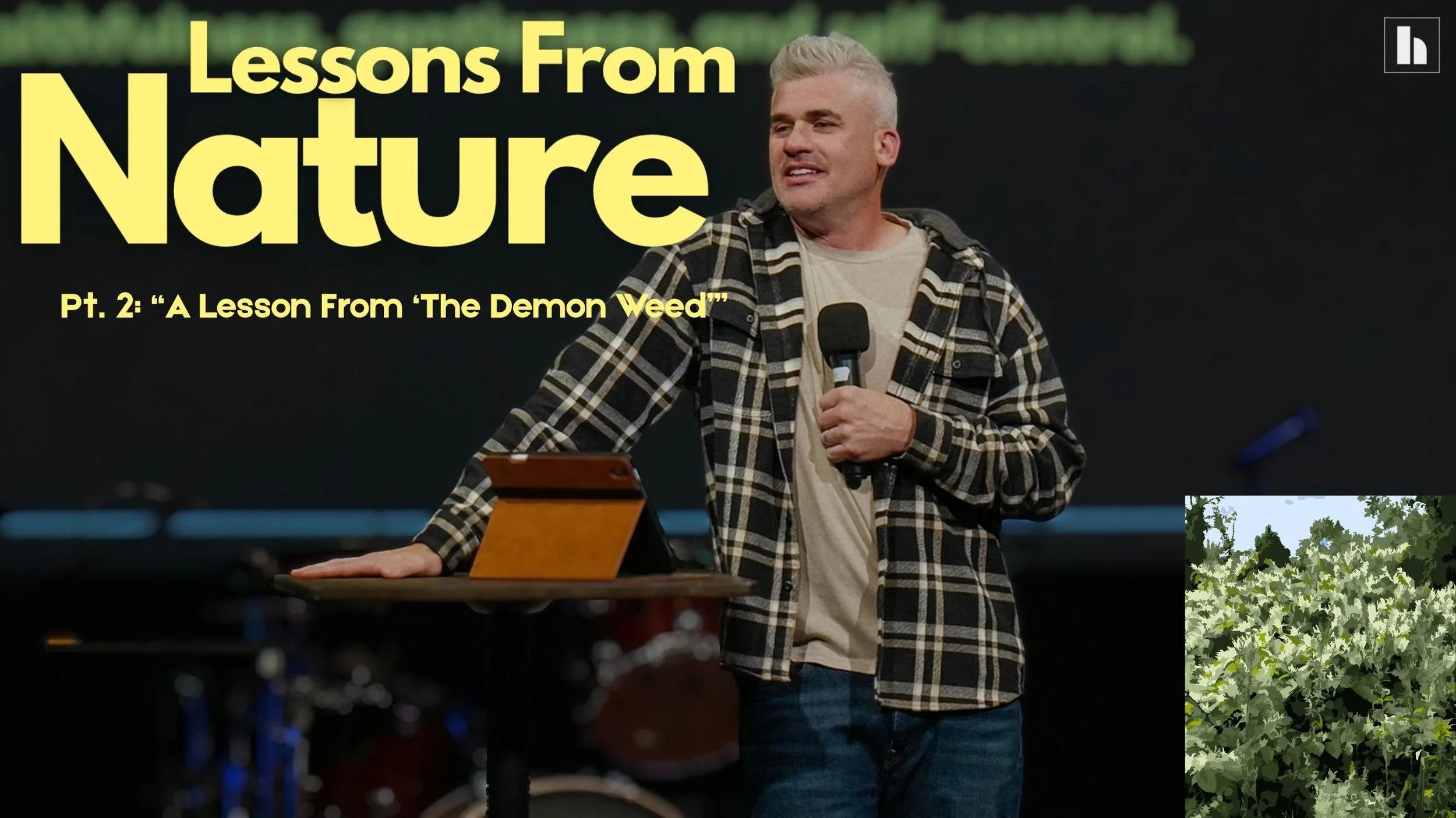 “Lessons From Nature”, Pt. 2: “A Lesson From ‘The Demon Weed’”