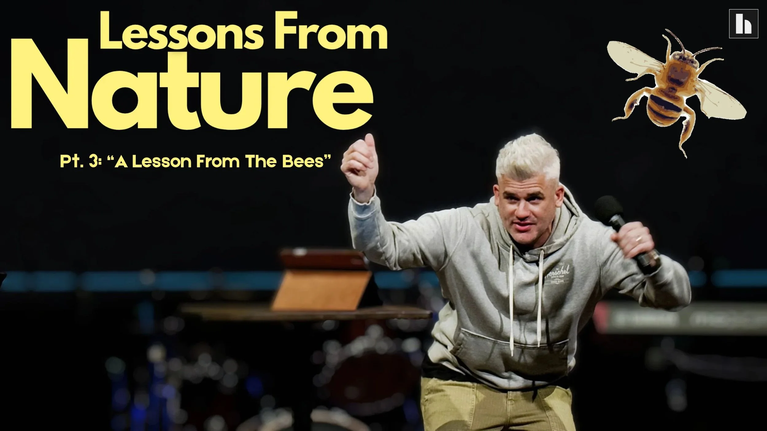 “Lessons From Nature”, Pt. 3: “A Lesson From The Bees”