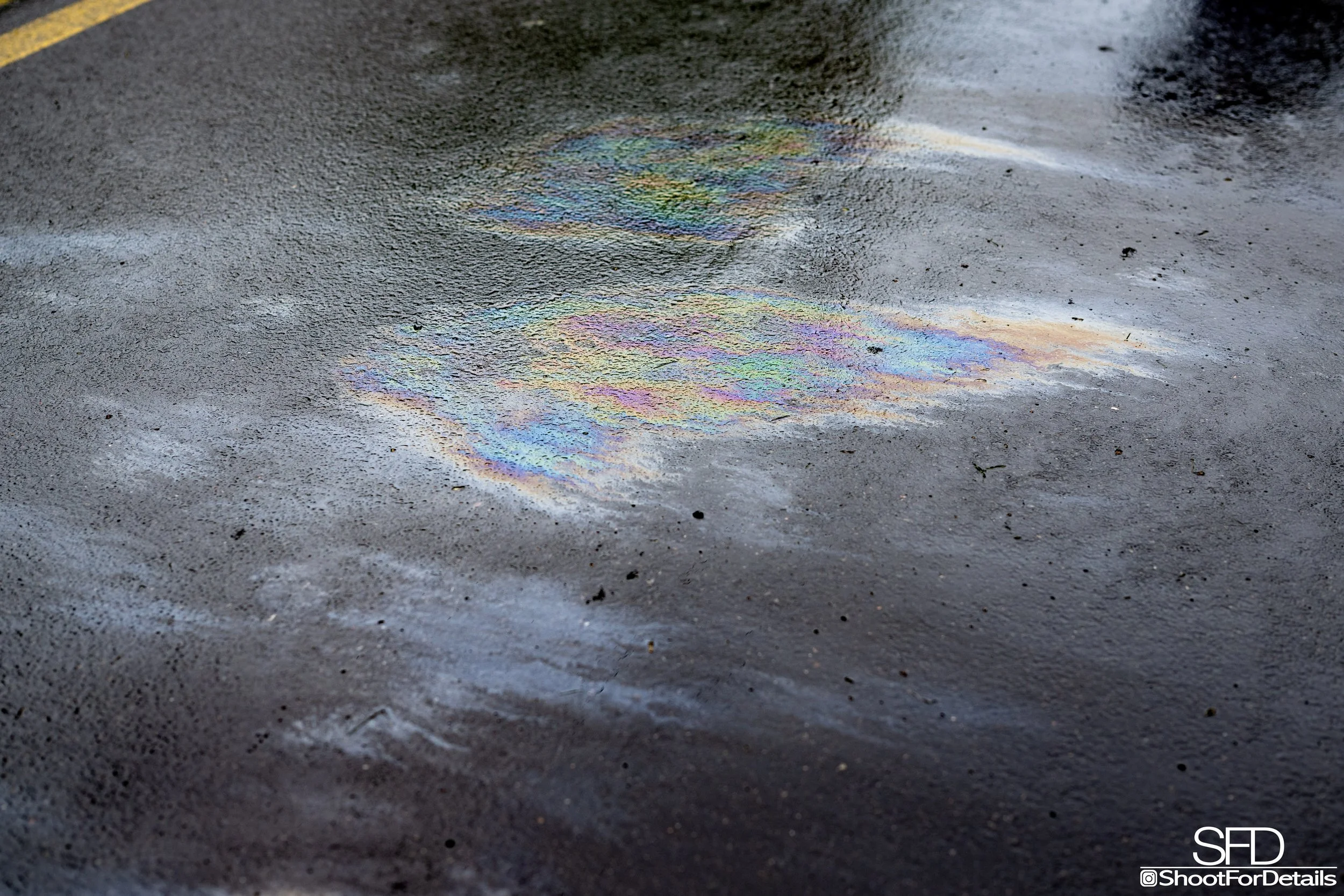 SFD_2084.jpg