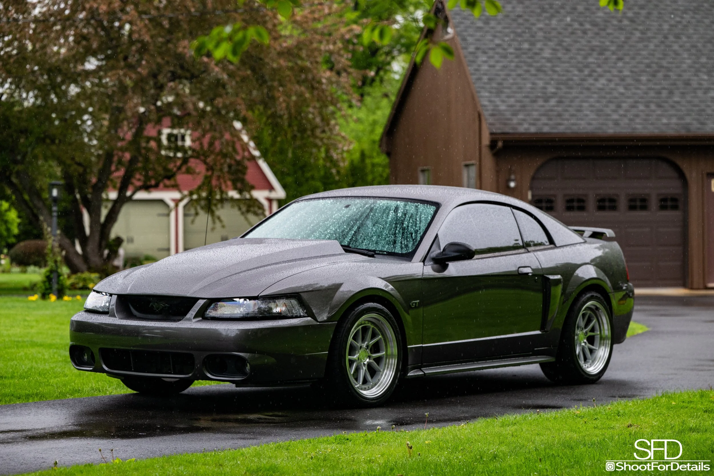 SFD_5954-Edit.jpg