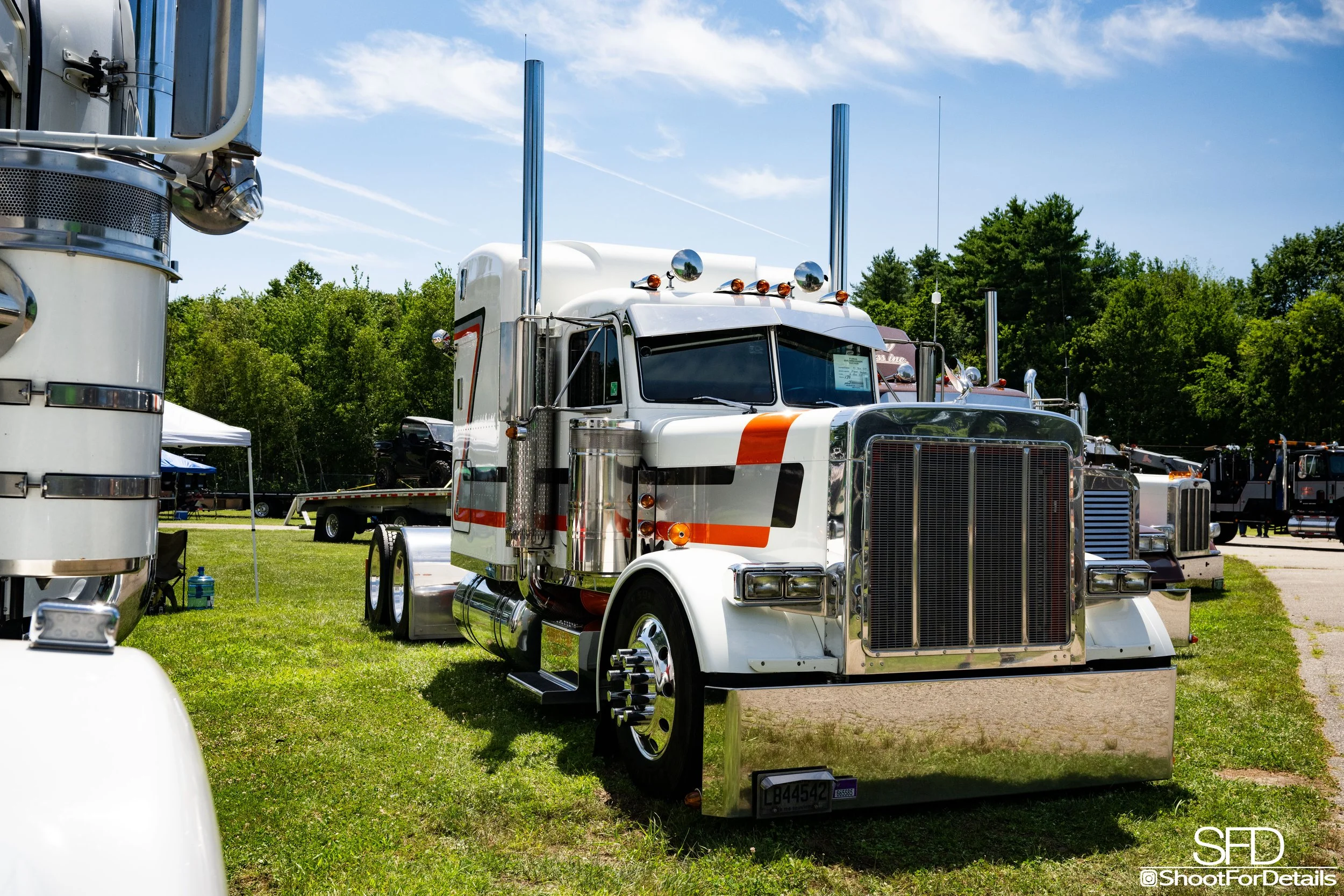 SFD_0901.jpg