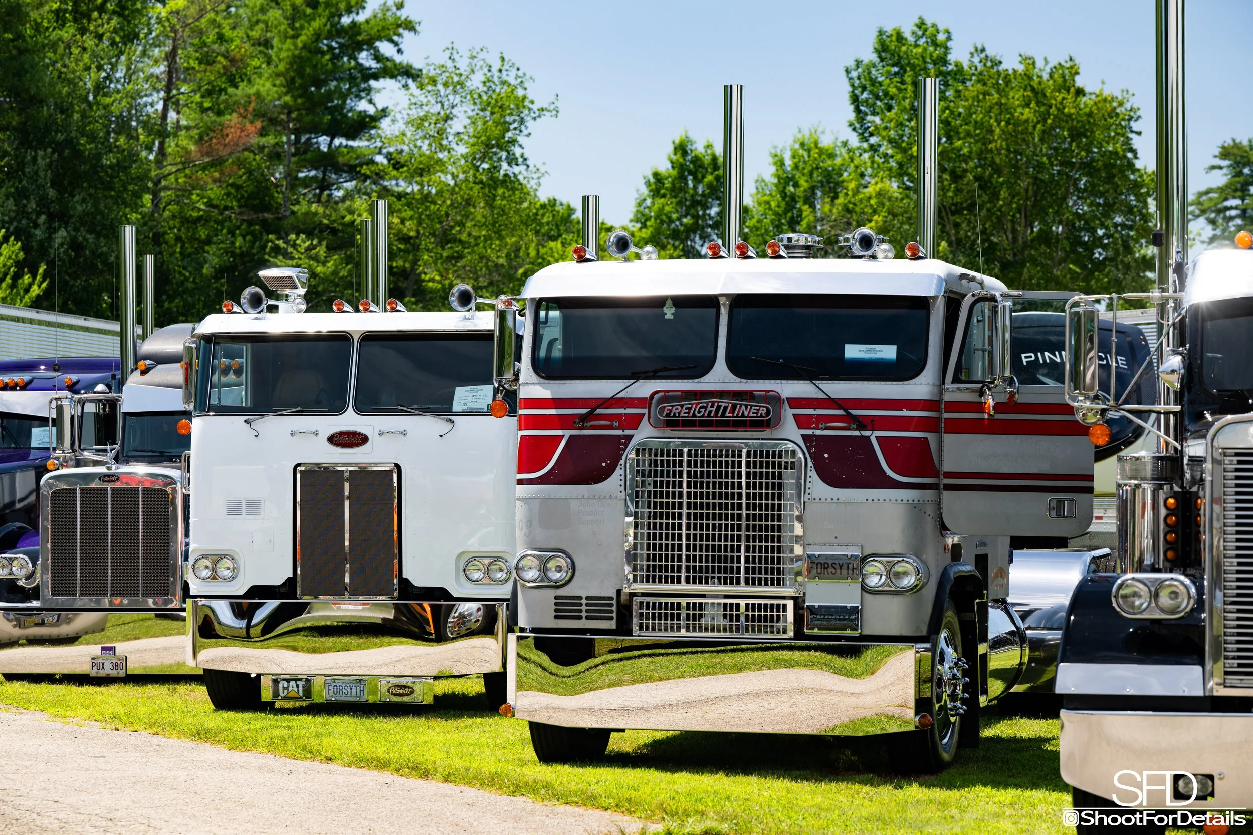 SFD_8249.jpg
