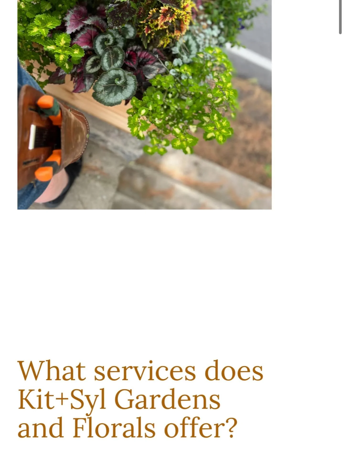 Check out our newly revamped website to find out more!  Link in bio #professionalgardener
#gardenmaintenance
#horticulture
#plantcare
#seasonalgardening