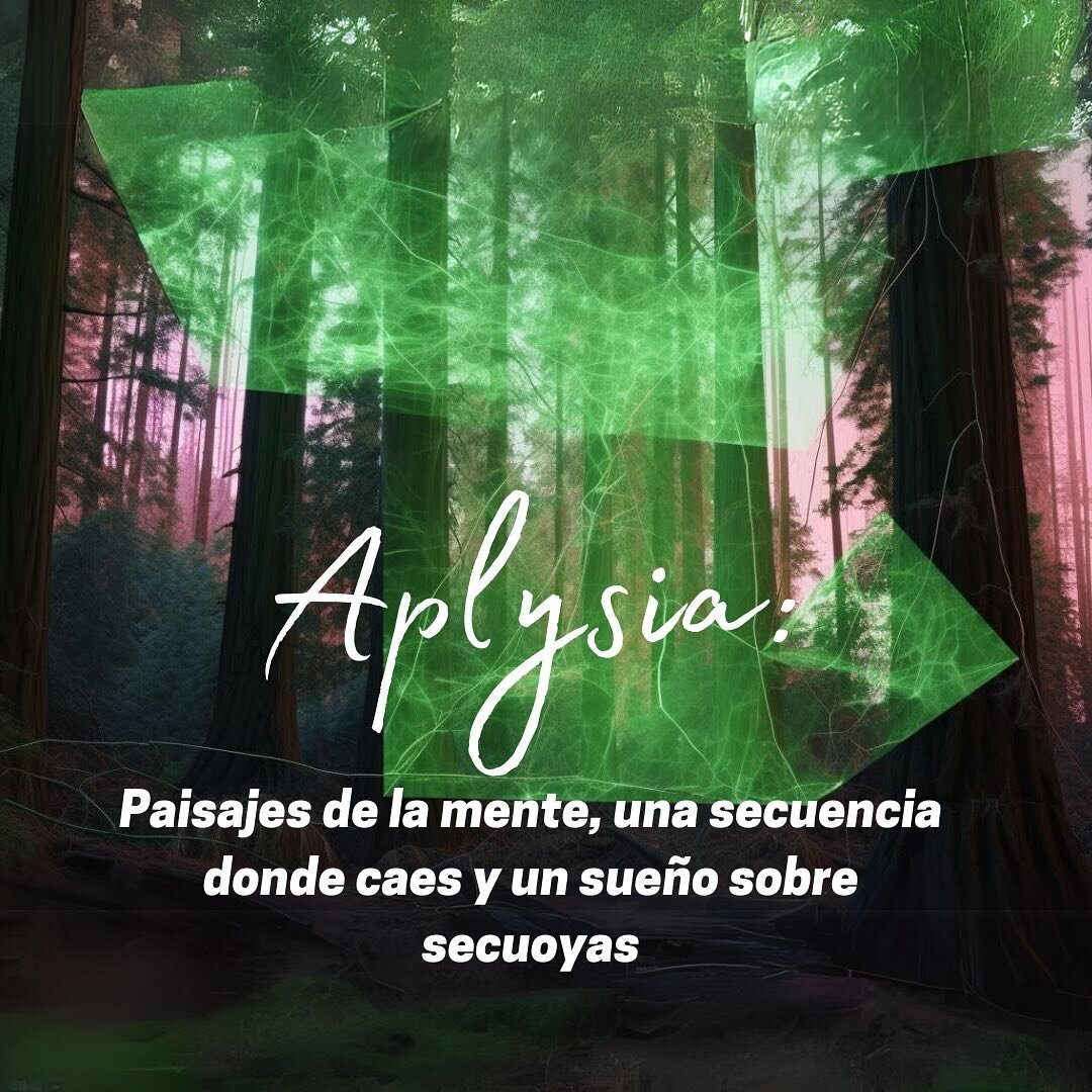 Nuestro m&aacute;s reciente proyecto, Aplysia: paisajes de la mente, una secuencia donde caes y un sue&ntilde;o sobre secuoyas, fue galardonado con la Beca est&iacute;mulo a la creaci&oacute;n art&iacute;stica Amplify-Fundaci&oacute;n Williams, en el