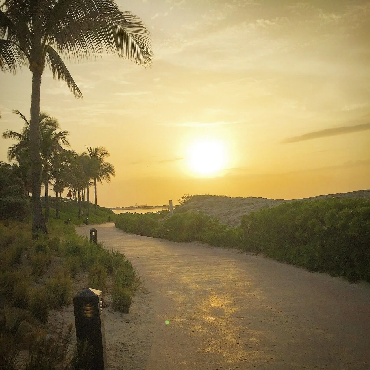 The Early Bird Gets the Worm