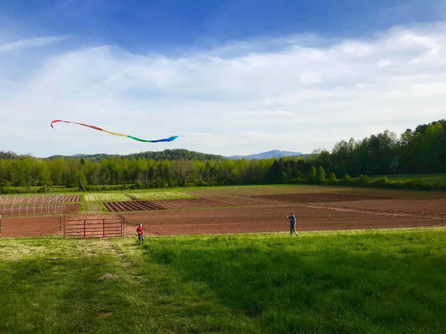 About — Sleight Family Farm