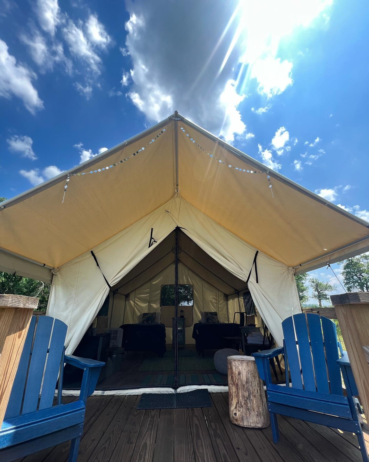 The Hummingbird Tent.

Our grandmother loved hummingbirds and every time we see one on the farm we know she is watching over us so of course this tent is named for her favorite bird.

Those little creatures return year after year, kinda reminds me of