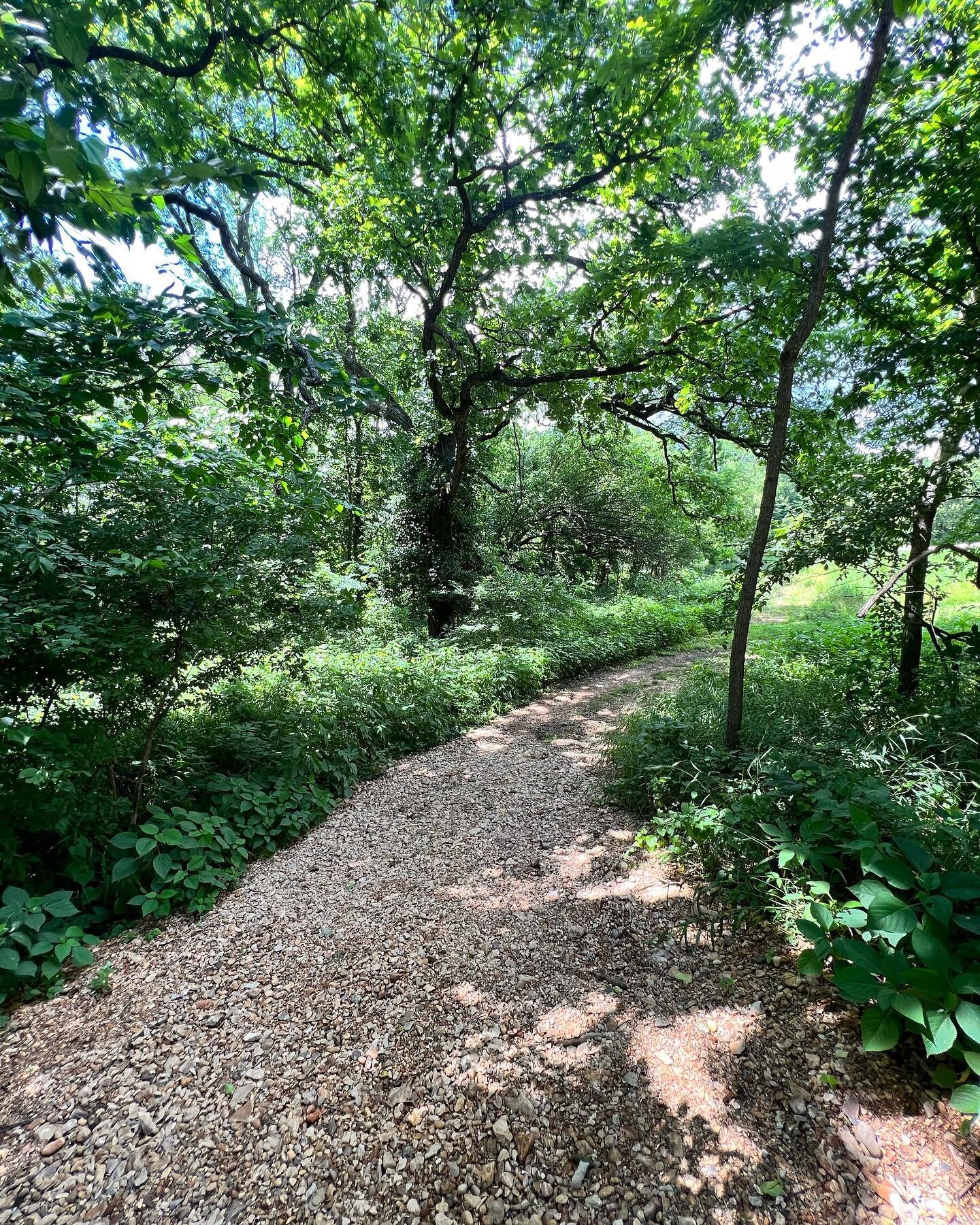 The path to the creek

One of our favorite things to do is to spend time on the Little Sugar Creek. We haven&rsquo;t gone one summer in our lives without dipping our toes in this little piece of heaven.

Small mouth bass, herons, crawdads, turtles, d