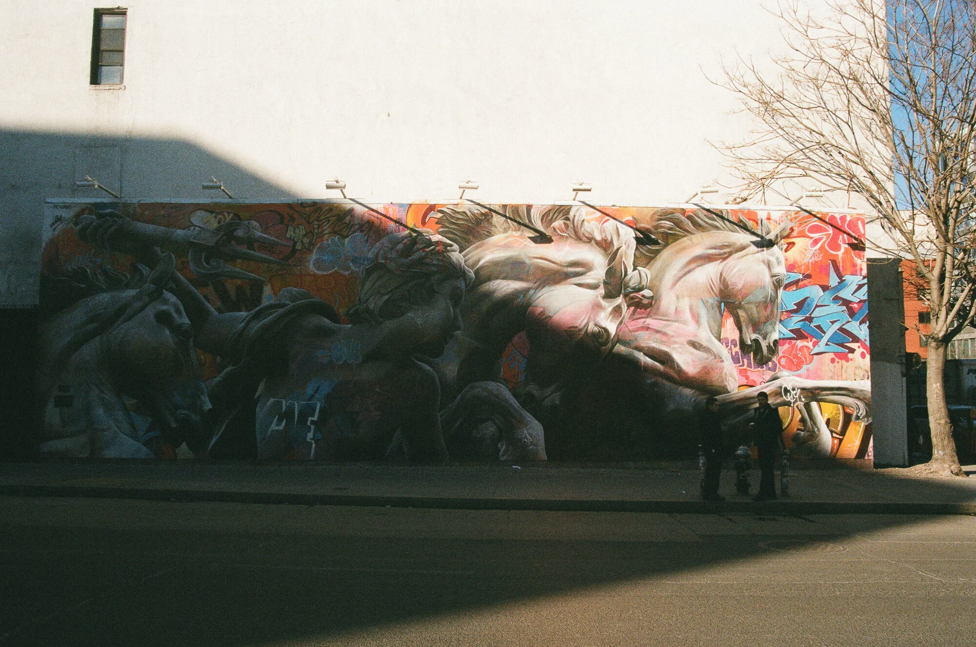 56460032.jpg