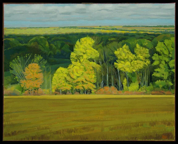 Flint Hills with Sunny Trees
