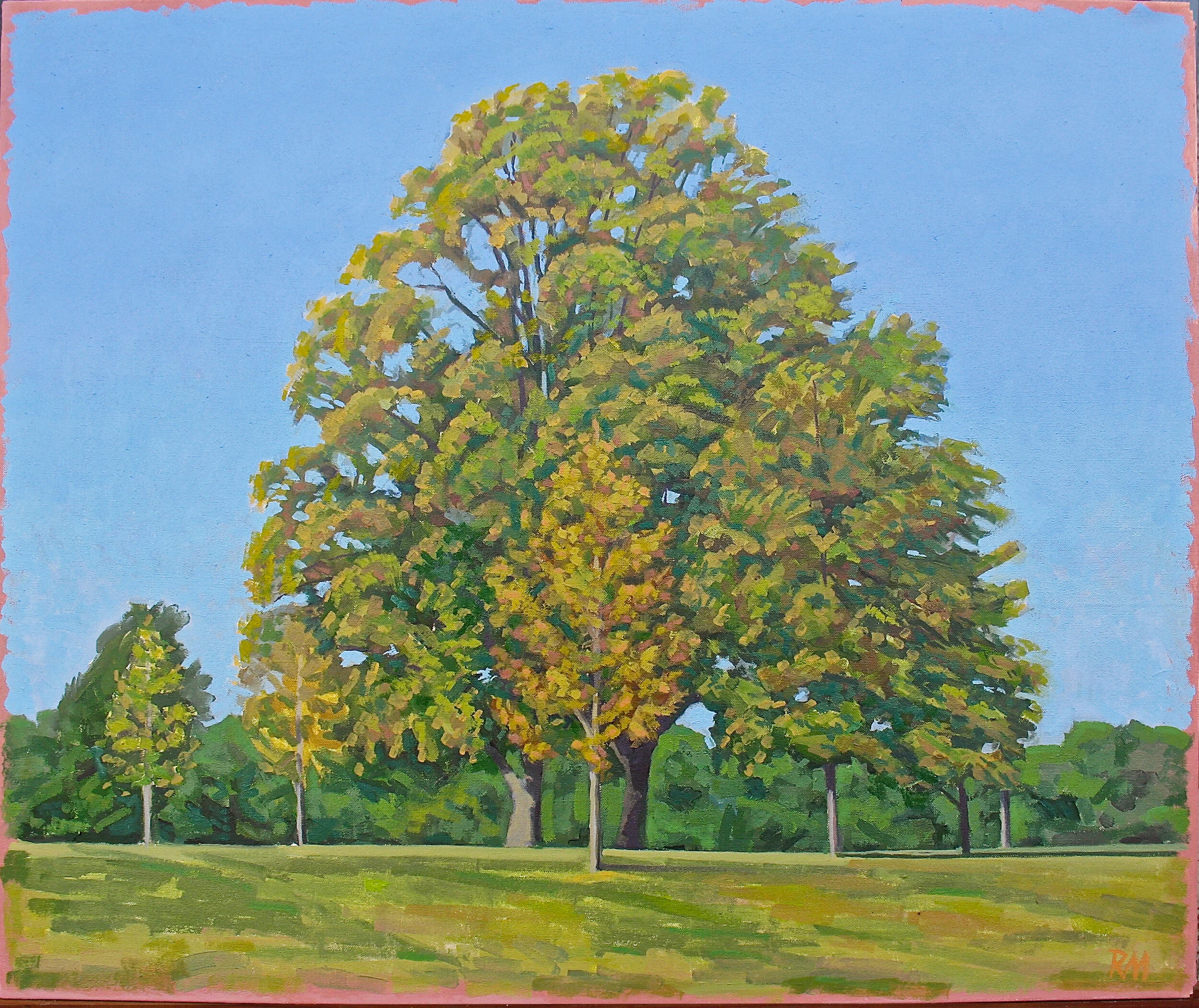 Loose Park Lone Tree