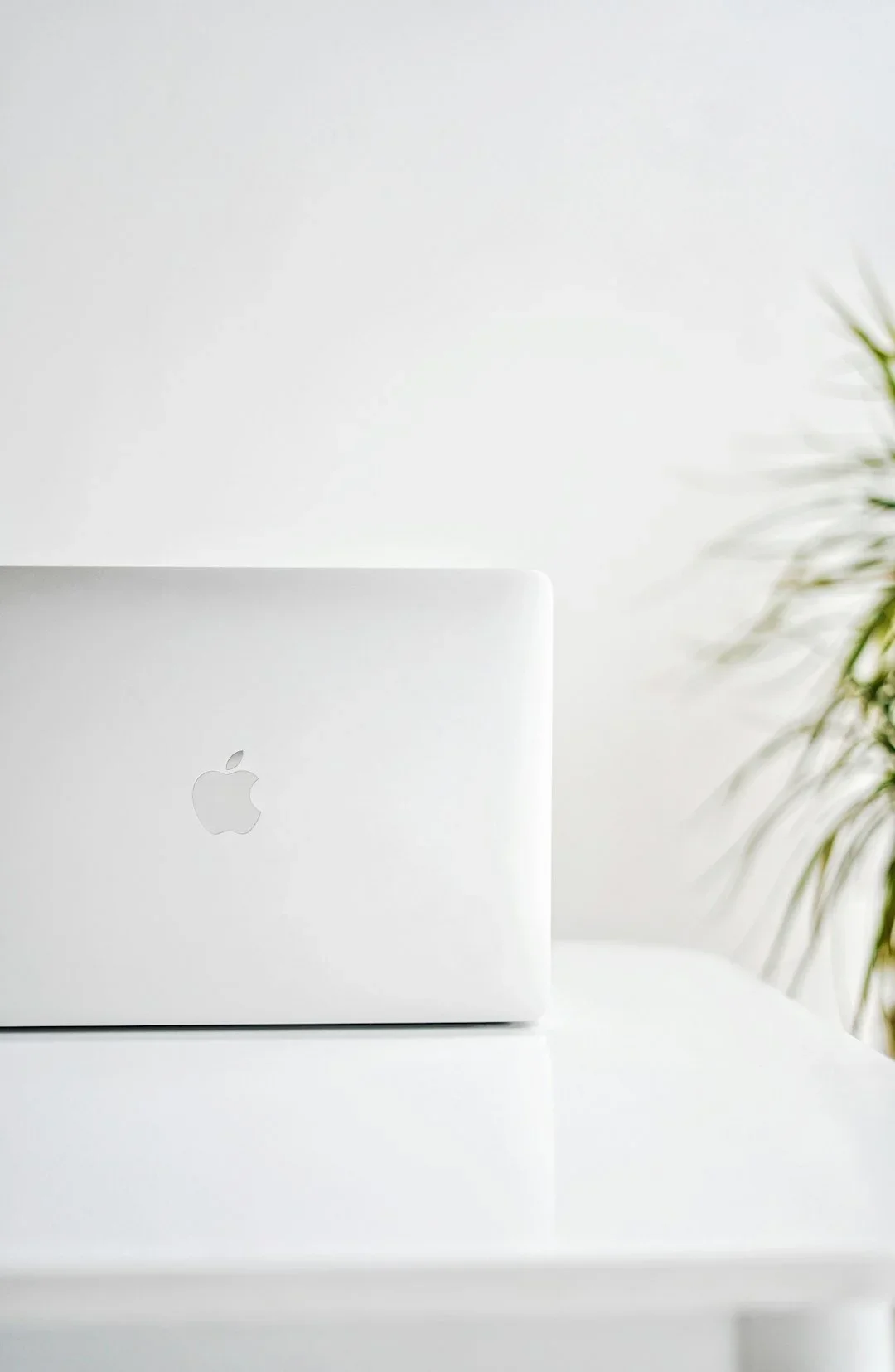 Custom WordPress Web Designer Buffalo NY