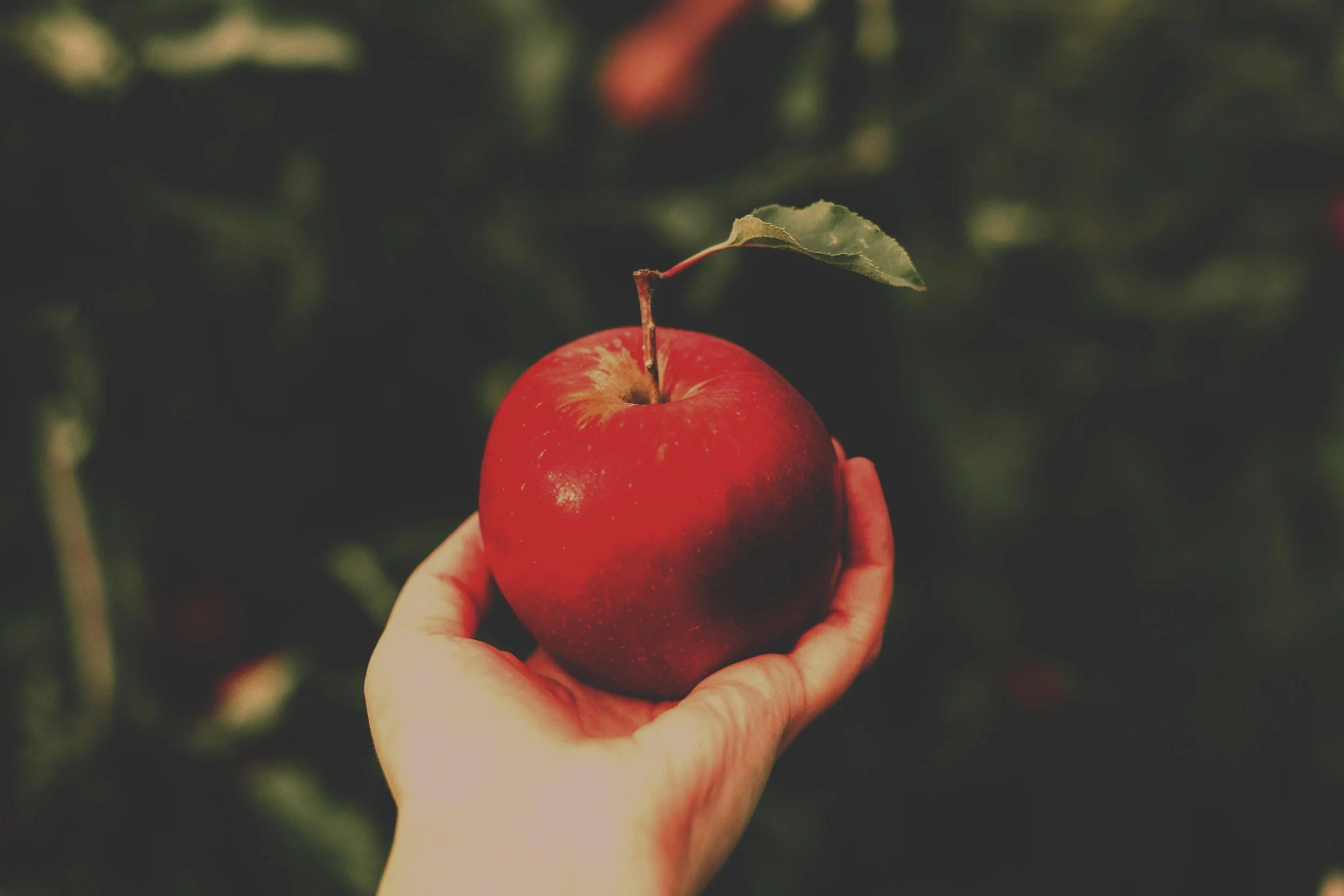 Are All Desires Good?