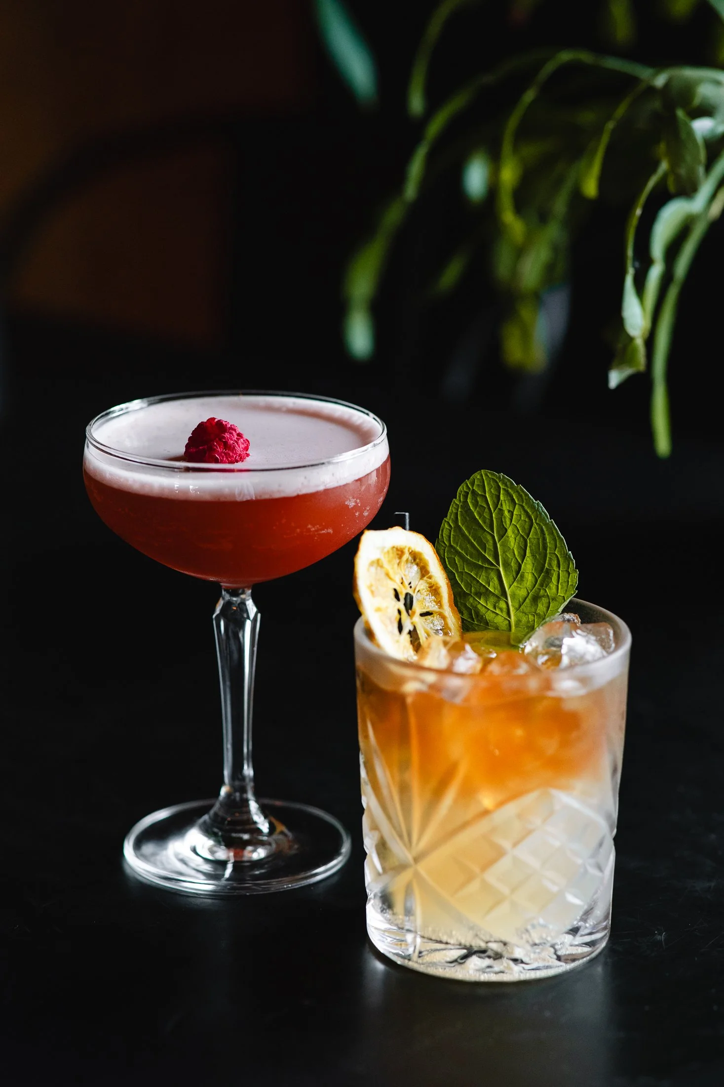 14.09.2024-evil-gen-menu-drinks-55.jpg