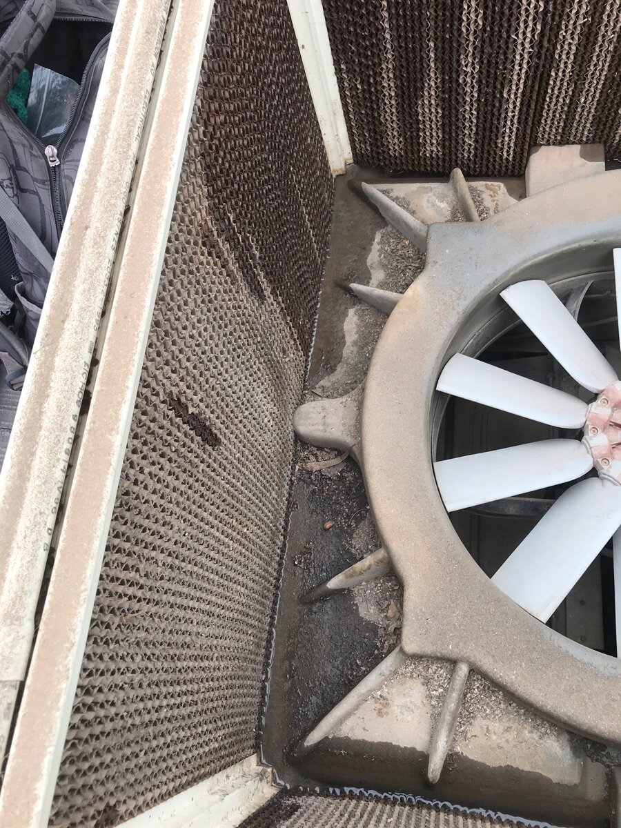 How often should evaporative cooling be serviced? 