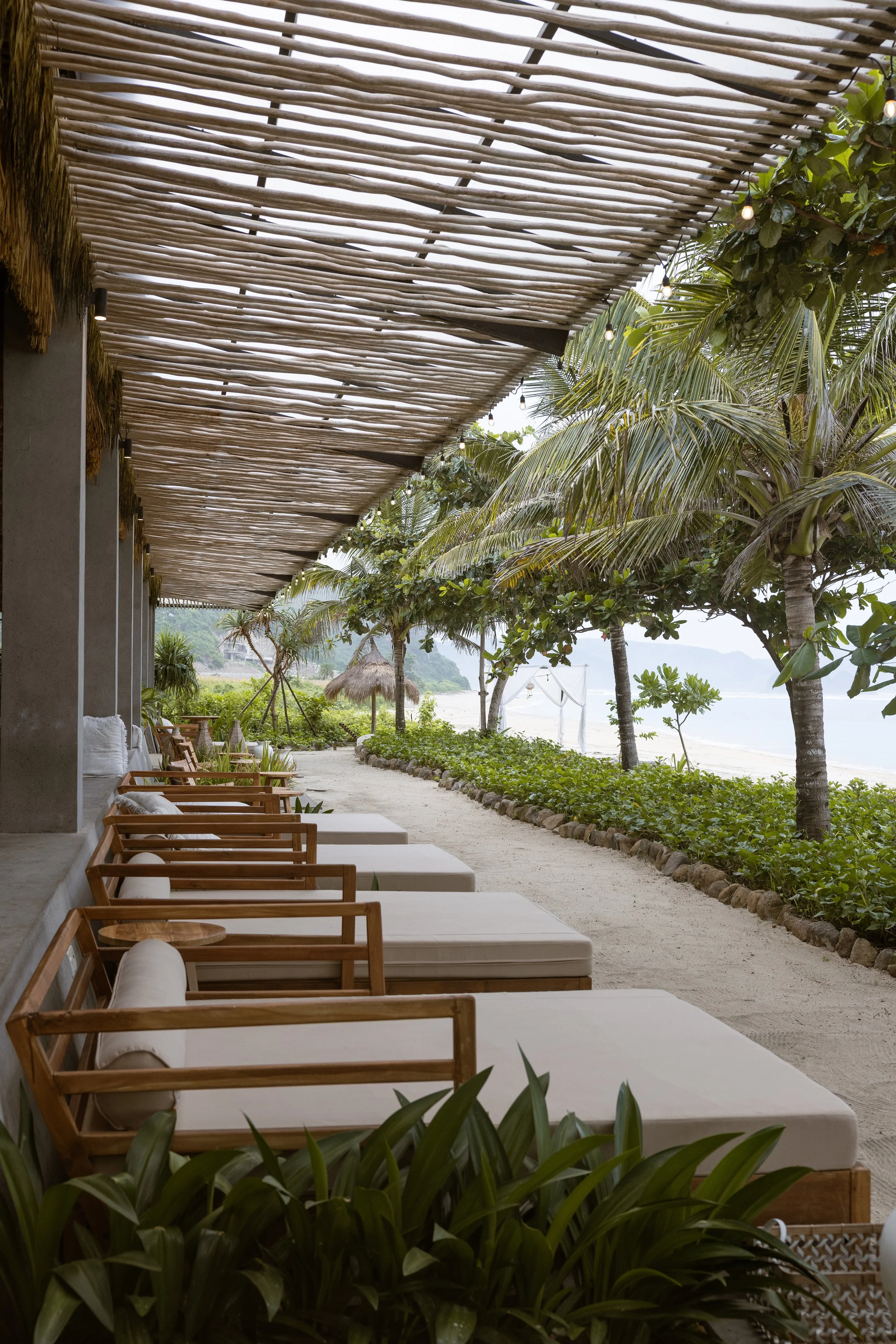 Bali 25 x Ozzy Palms -5841 copy.jpg