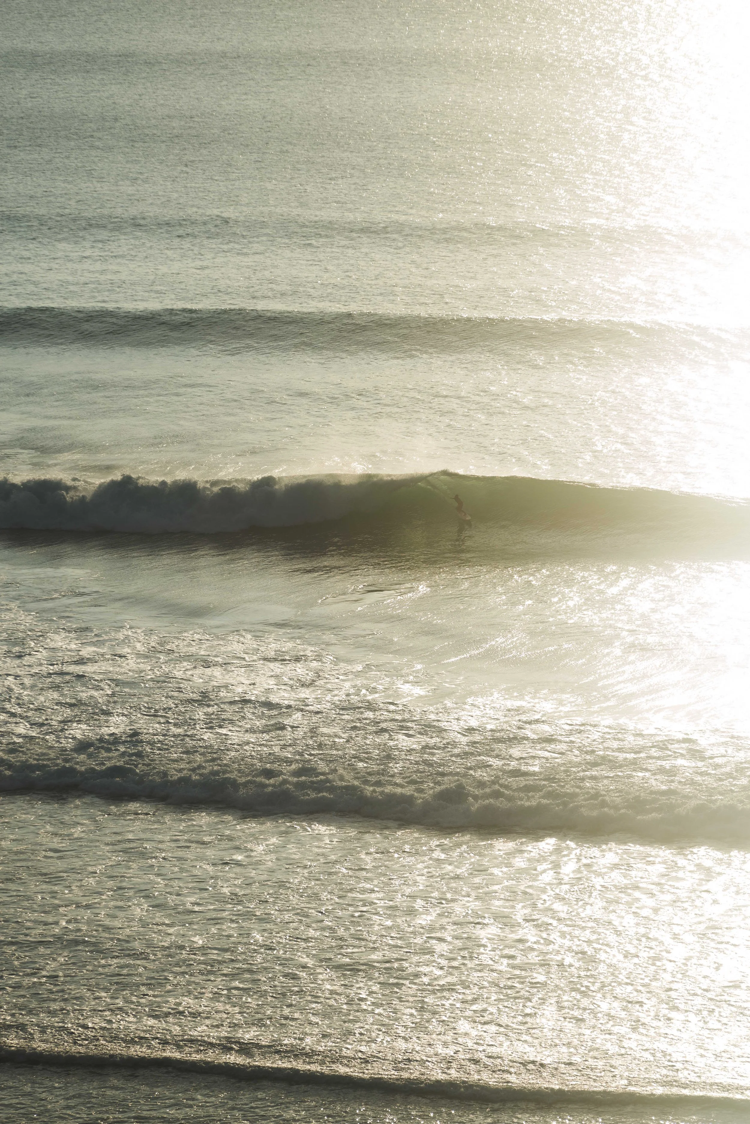 lifestyle travel photography I Ozzy Palms
