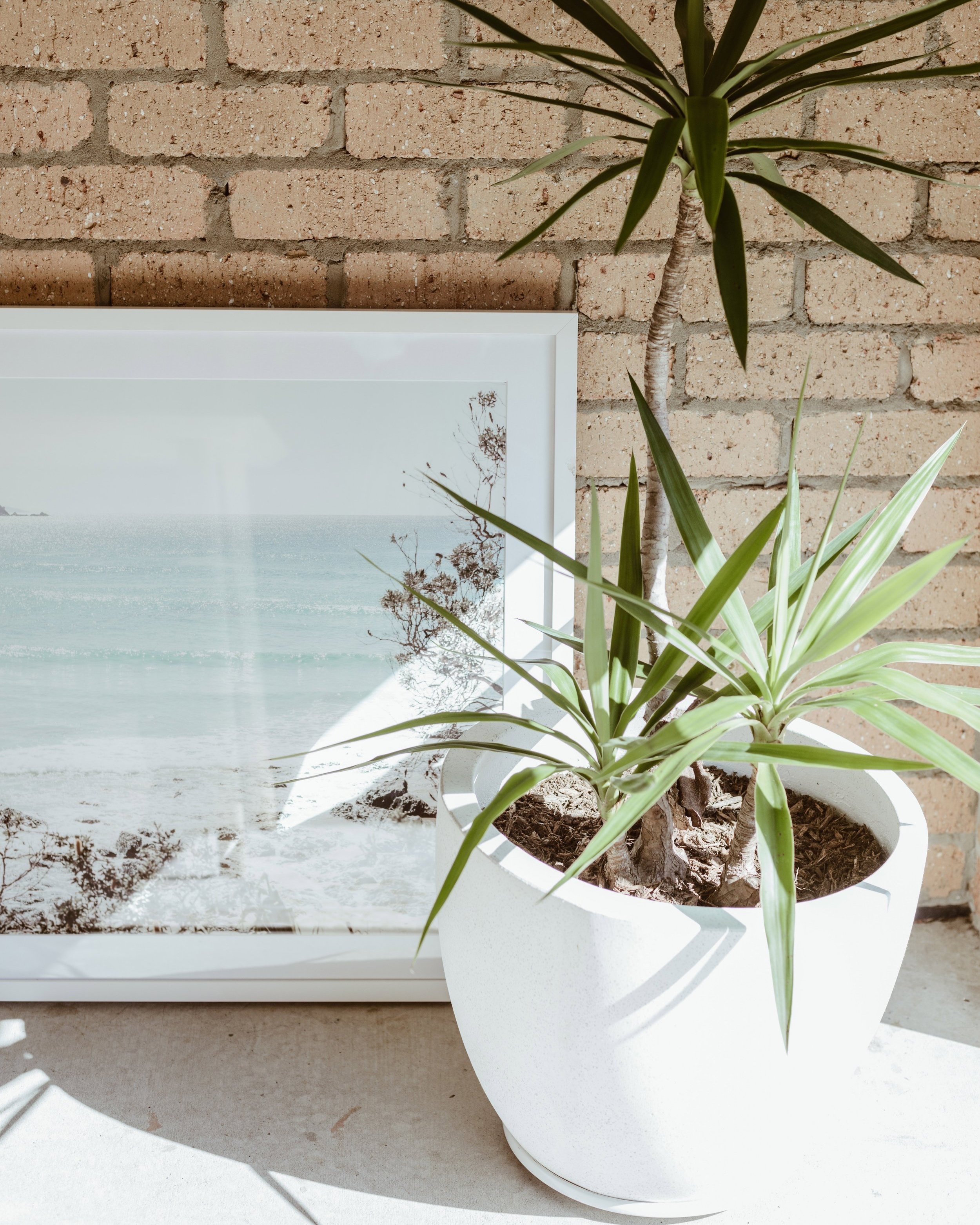 Coastal Print - Byron . We live in Paradise