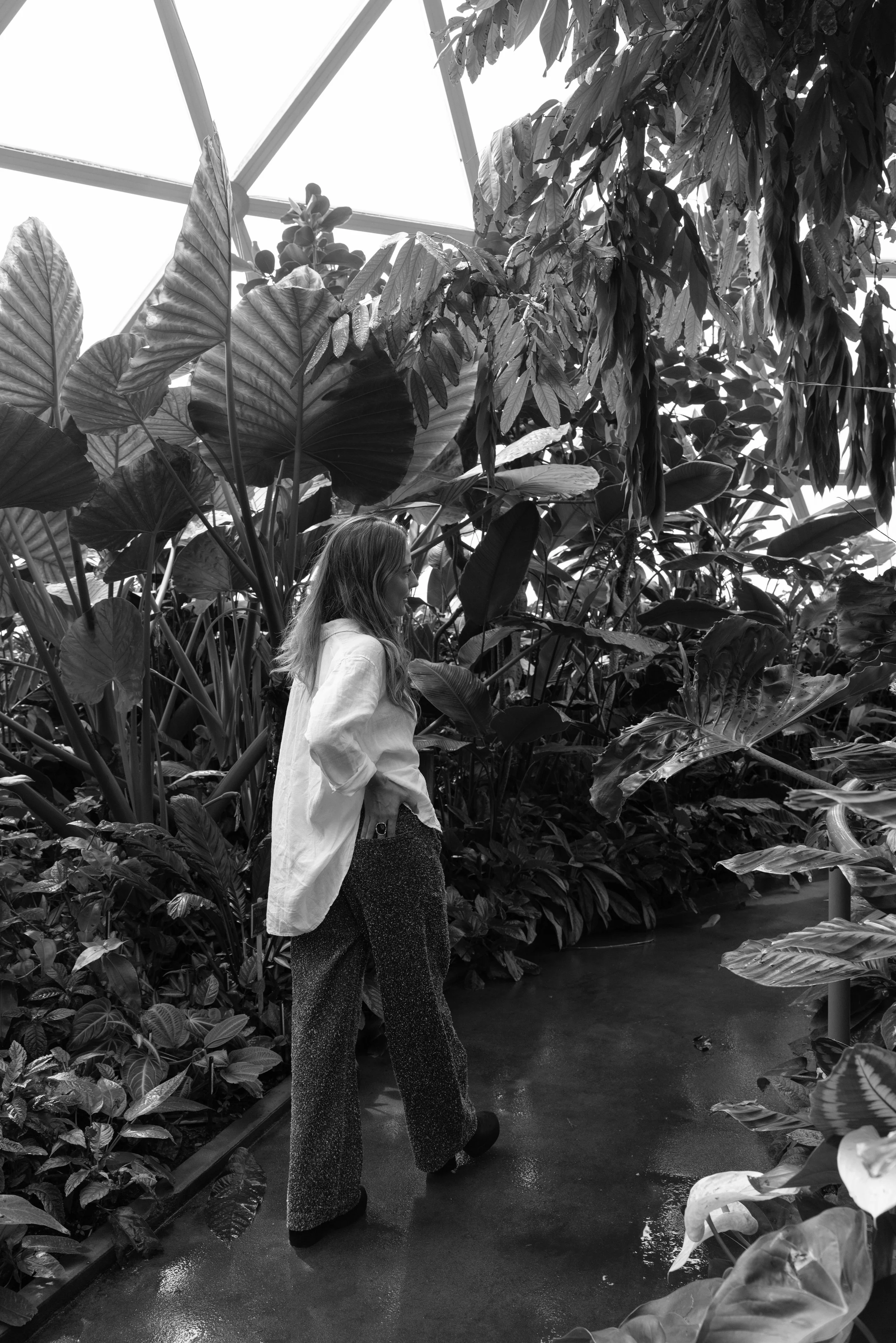Anima, Camila, Dome Bris x Ozzy Palms I Cami Serejo 00023 copy.jpg