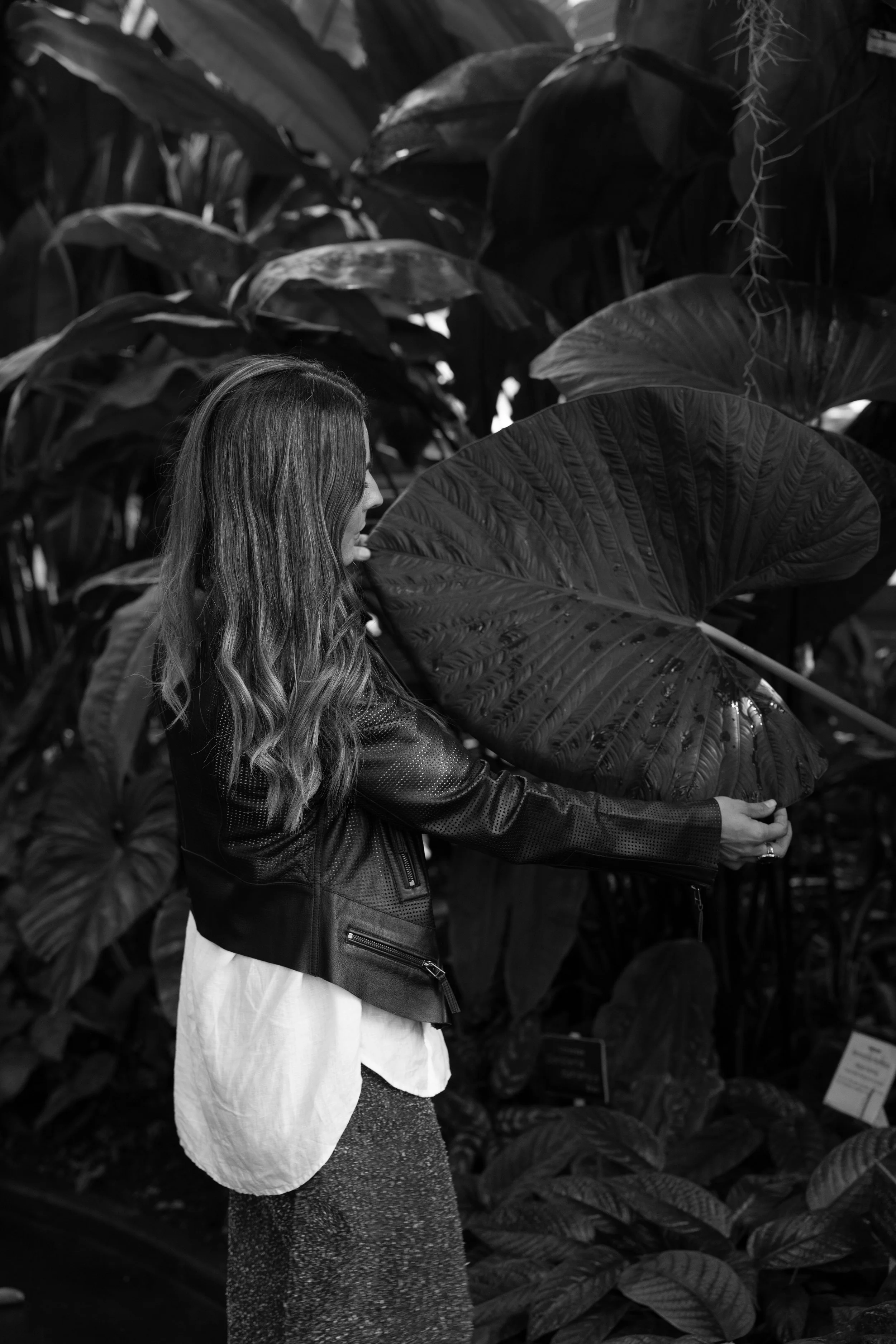 Anima, Camila, Dome Bris x Ozzy Palms I Cami Serejo 00060 copy.jpg