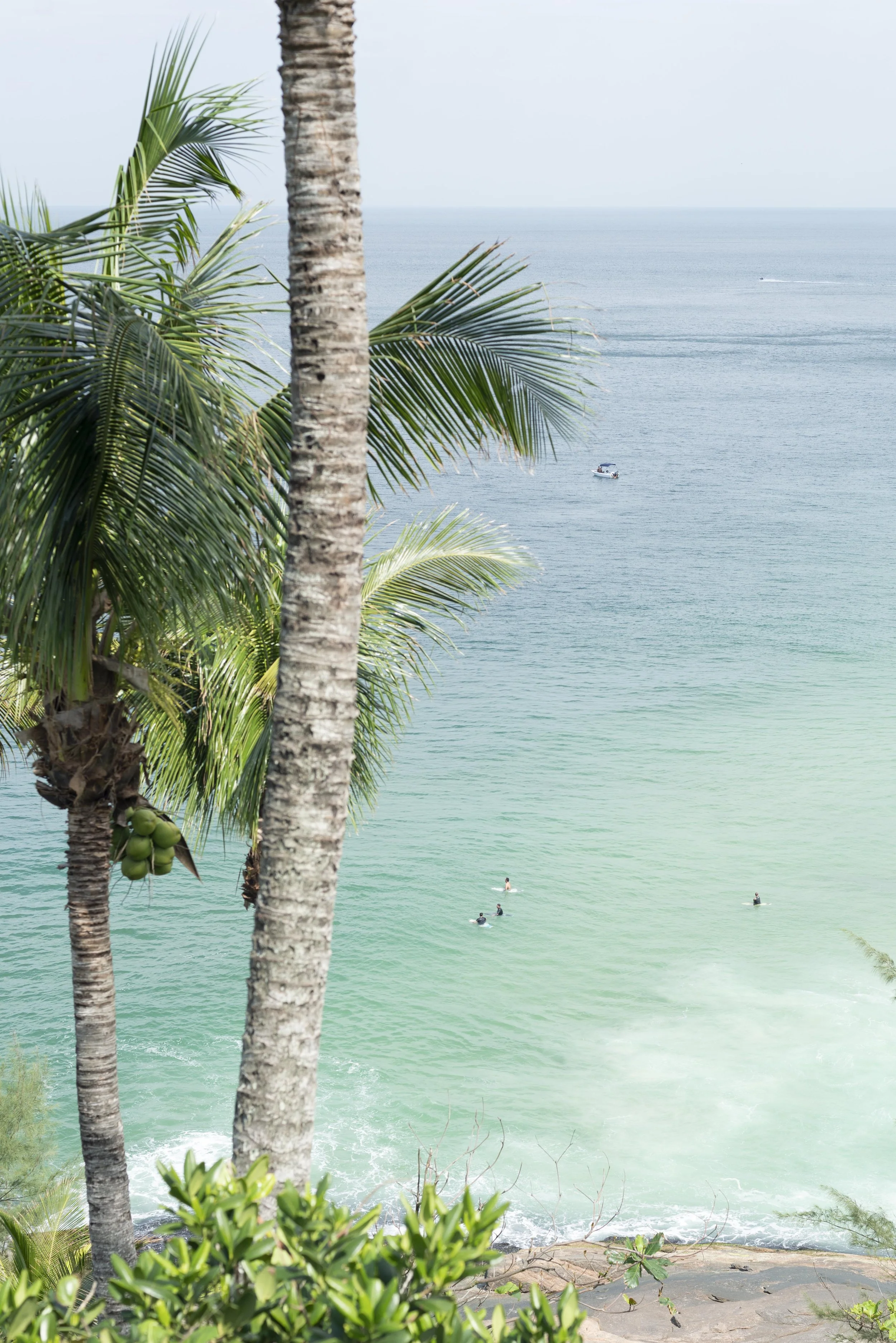 Ocean view with palm trees, people floating in water, and a boat in the distance