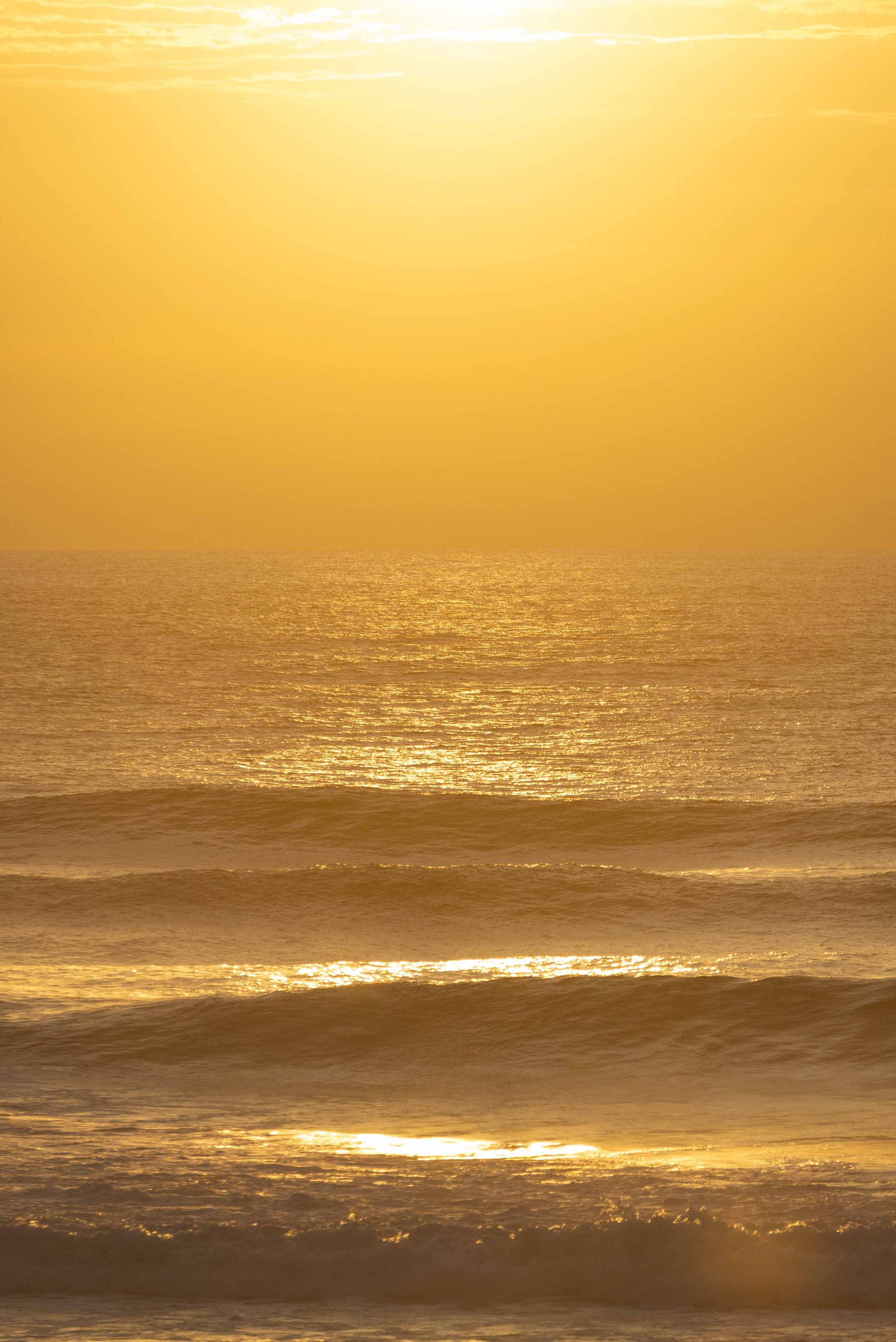 Pure Gold Art Print I Ozzy Palms