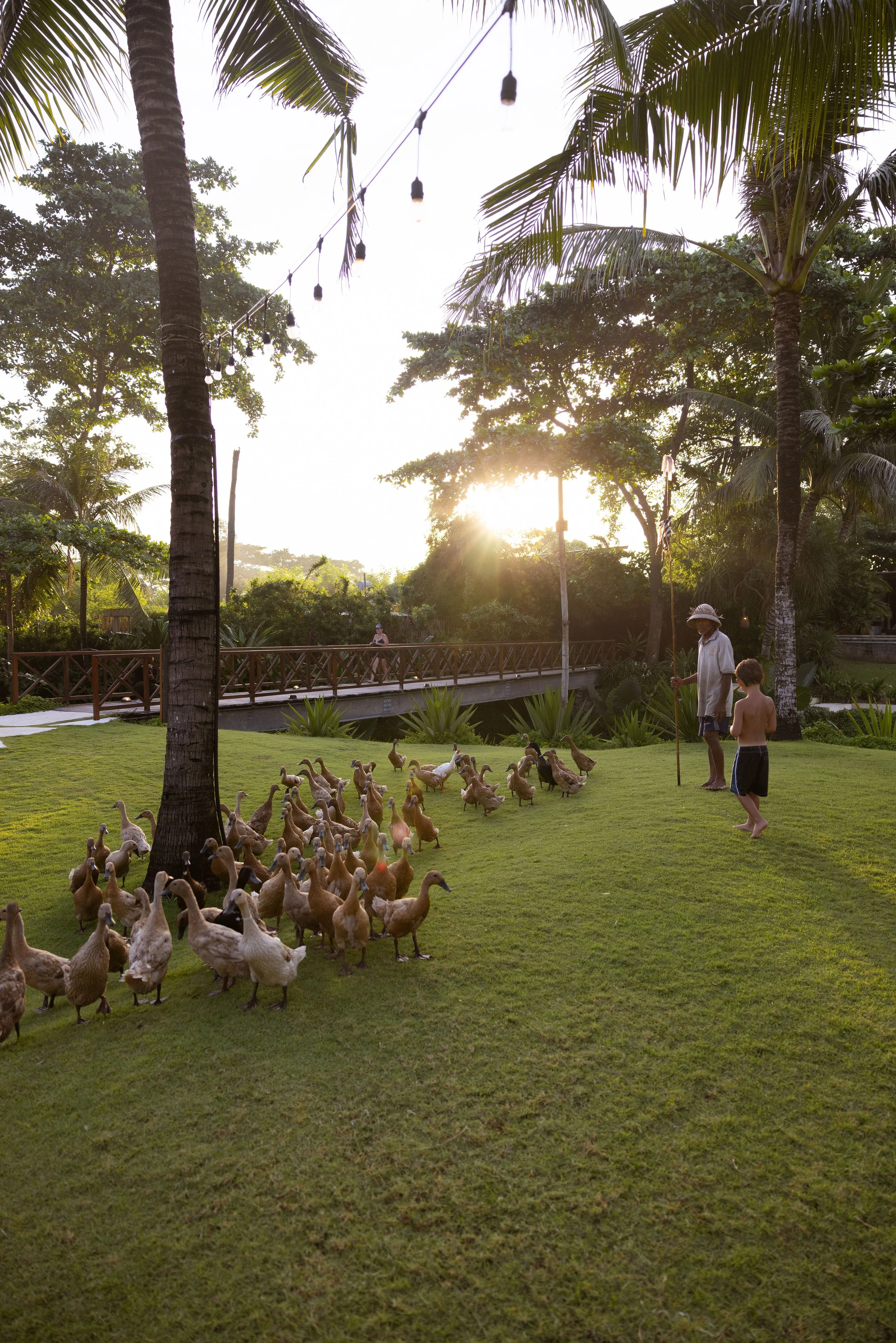 Gold Coast commercial photography – food and lifestyle editorial by Ozzy Palms