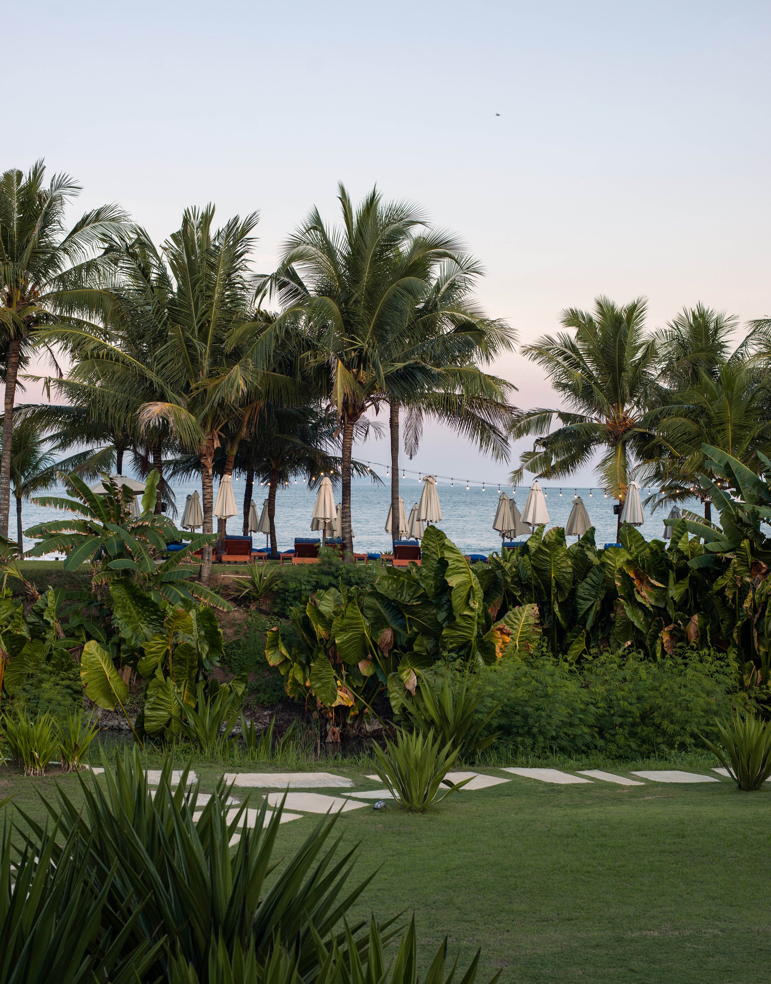 Tropical beach scene with palm trees, lounge chairs, and umbrellas by the sea.