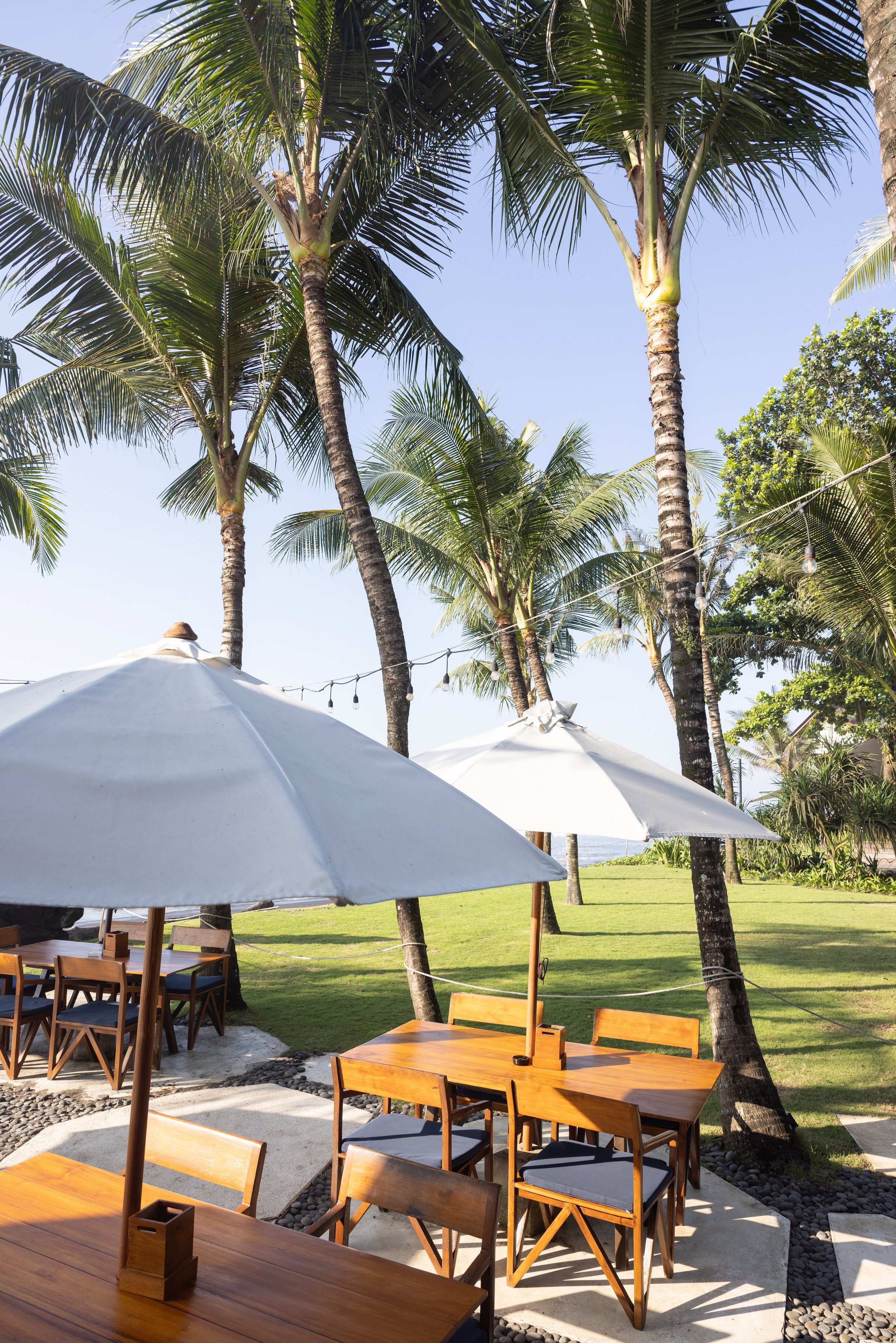 Bali 25 x Ozzy Palms -5751.jpg