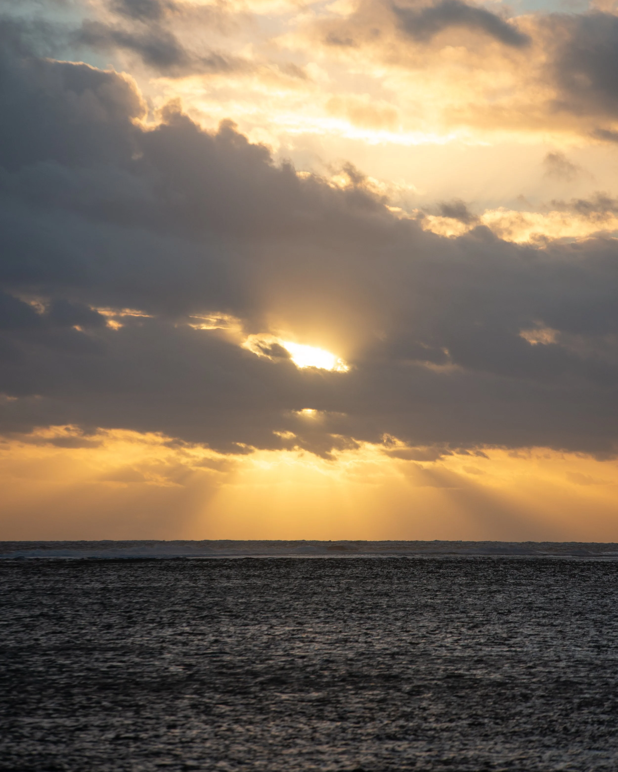 Sunshine Coast-6071.jpg