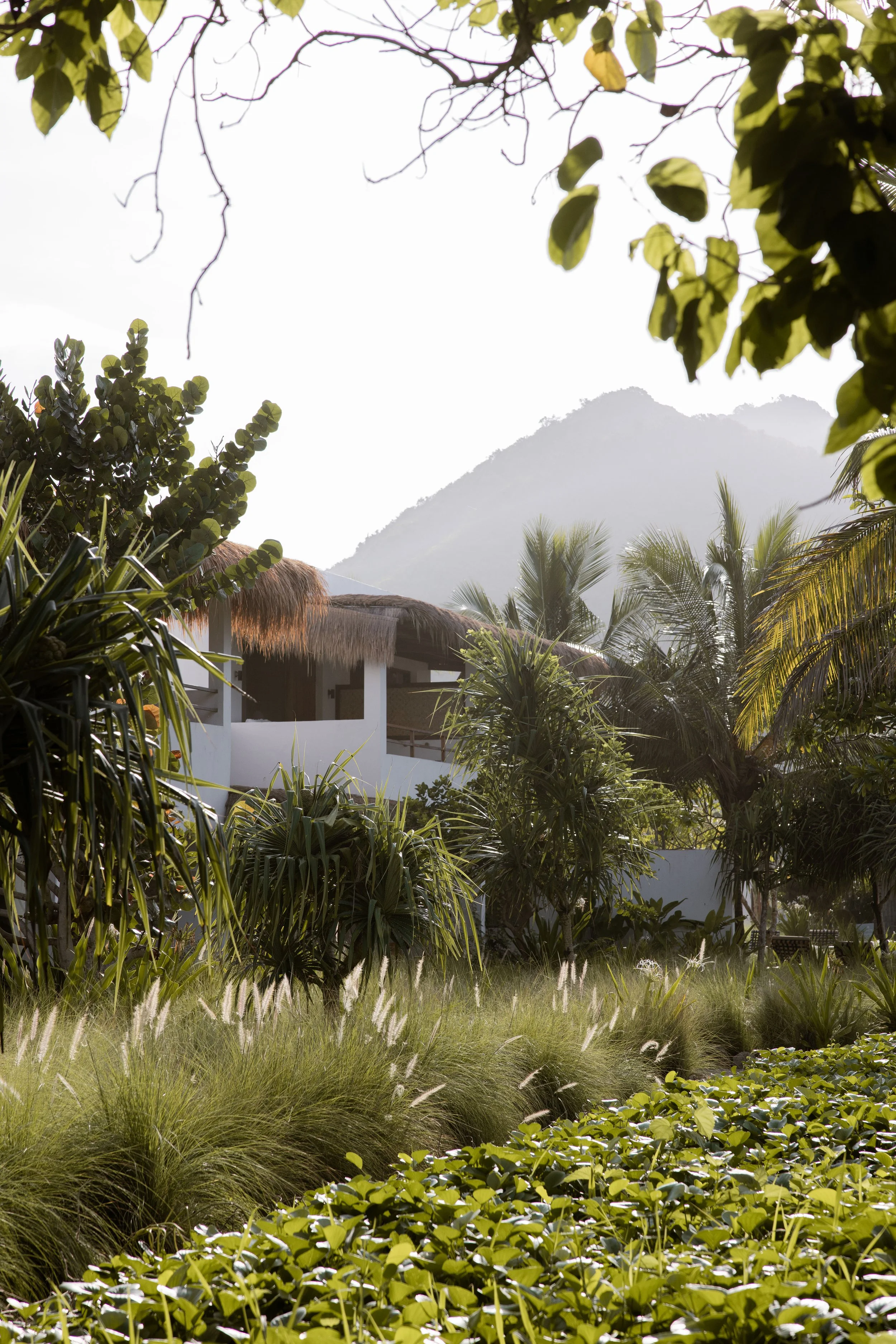 Bali 25 x Ozzy Palms -6423 copy.jpg