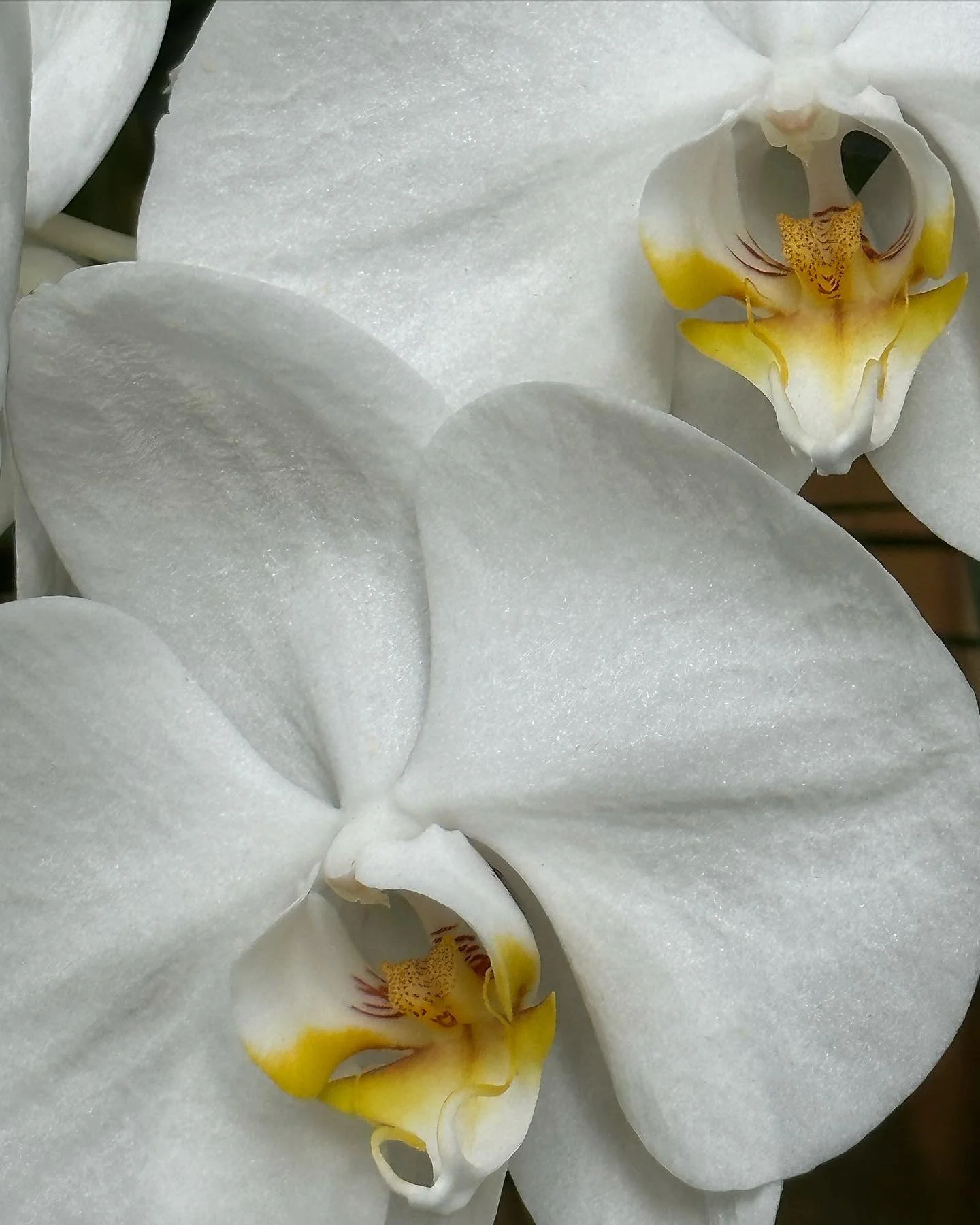 Timeless wedding photography