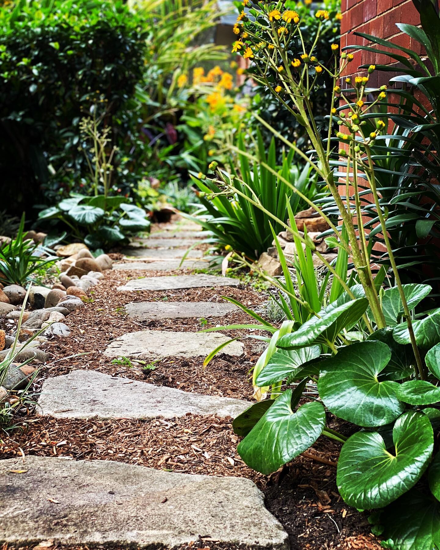 Natural sandstone pathway surrounded by softscape tropical plants. Simple yet effective in providing practicality and visual appeal #beyondthegate #beyondthegatelandscaping #sydneylandscaper #stonepavers #stonepath #sandstonepath