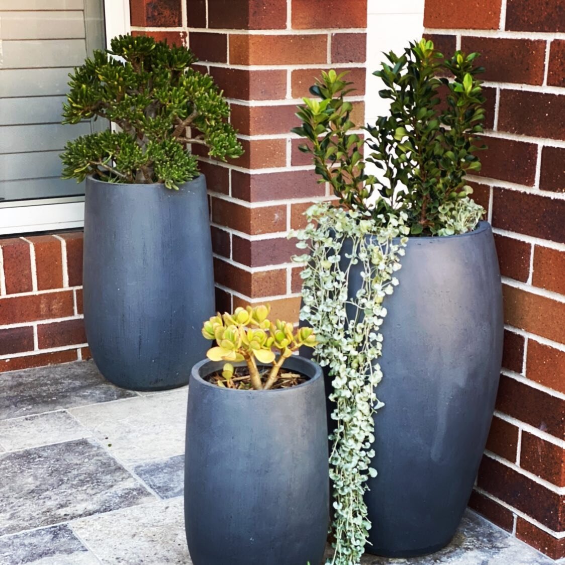 Different sized pots in odd numbers always compliments the overall look of balconies and front entrances #beyondthegate #beyondthegatelandscaping #sydneylandscaper #softlandscaping #conceptdesign #featurepots