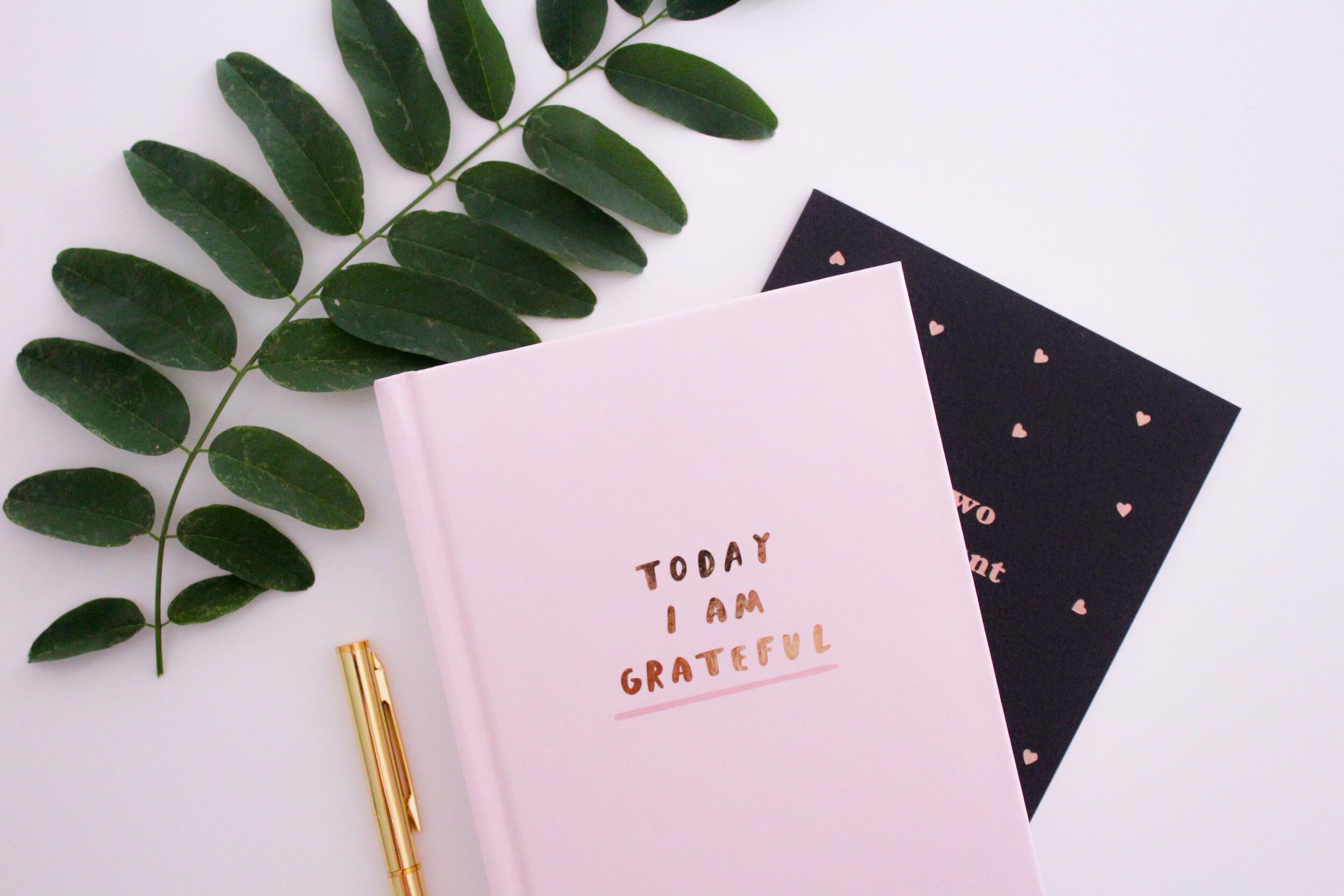 Choose Gratitude.