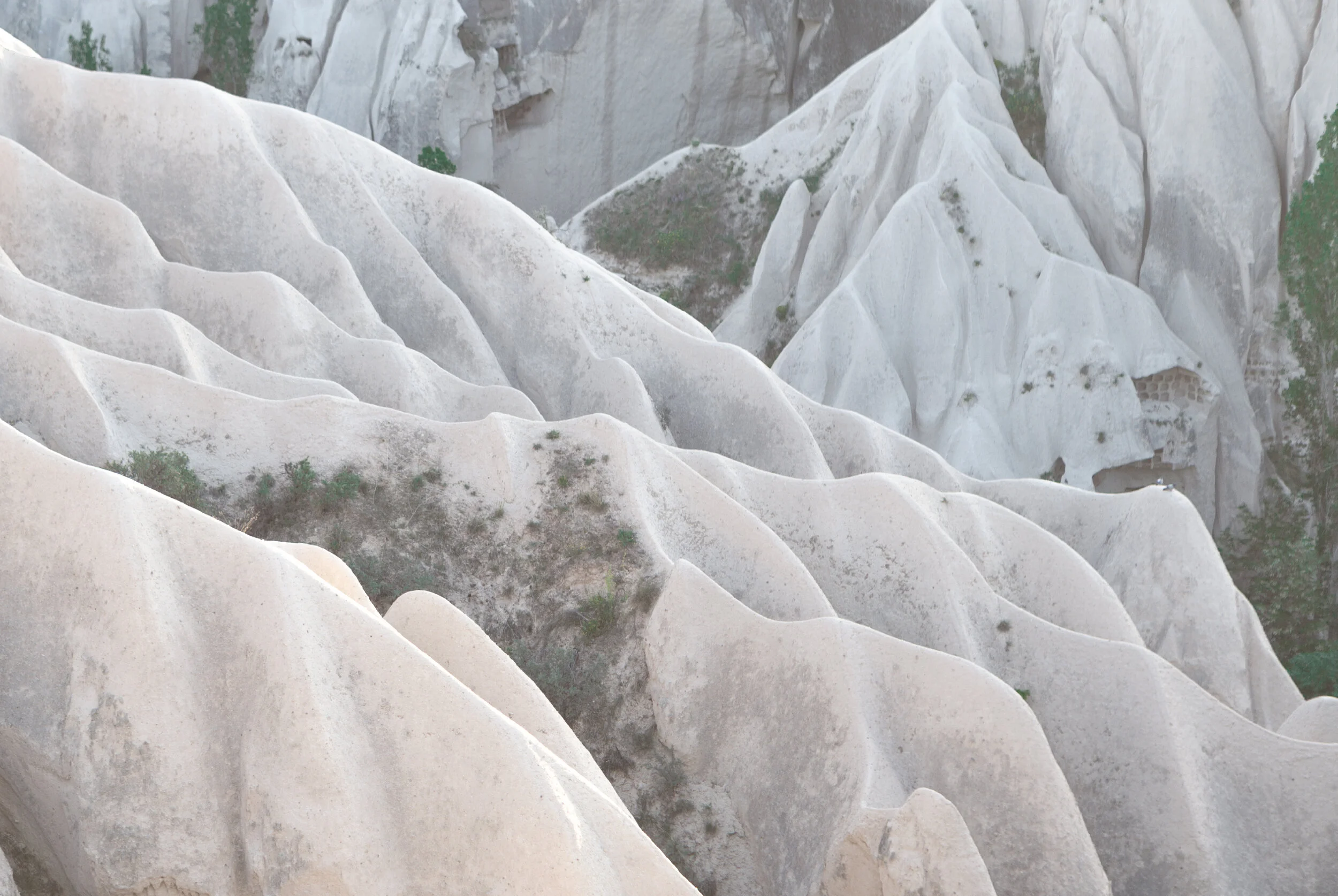 Sculpted rock formations and trees