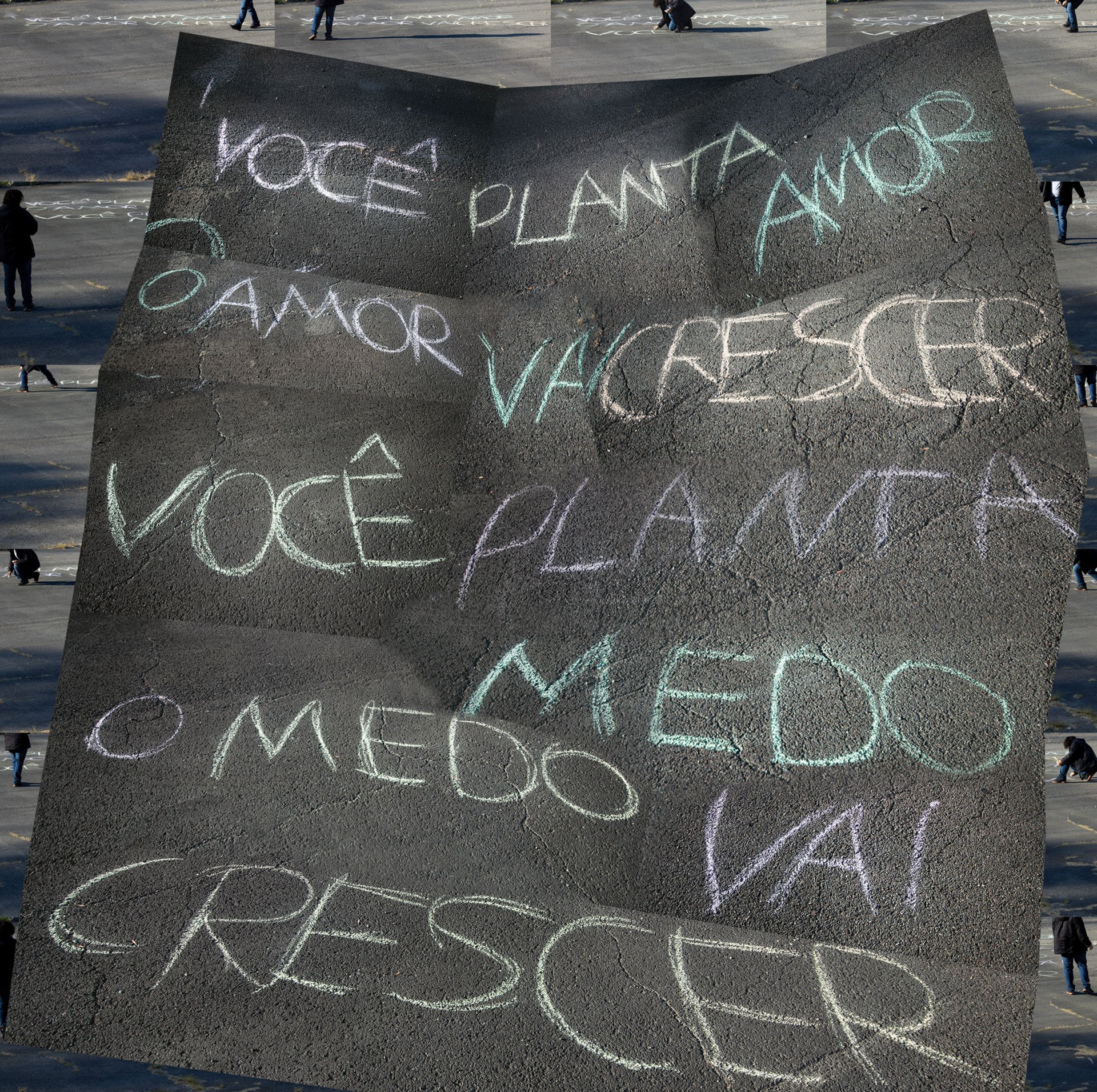 almeida_CSS_05.jpeg