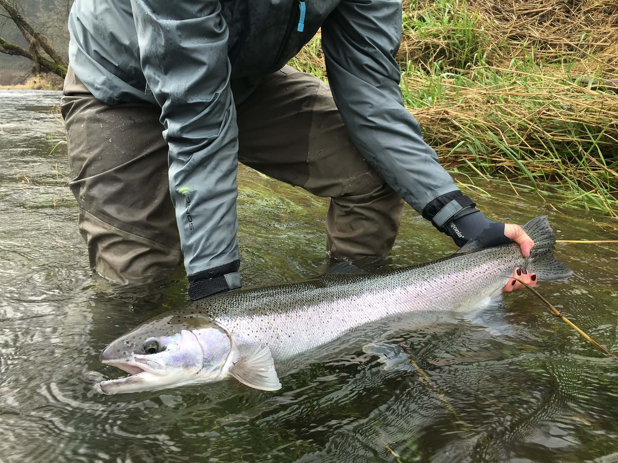 Oregon Coast Steelhead Fly Fishing Guides — FRIGATE TRAVEL