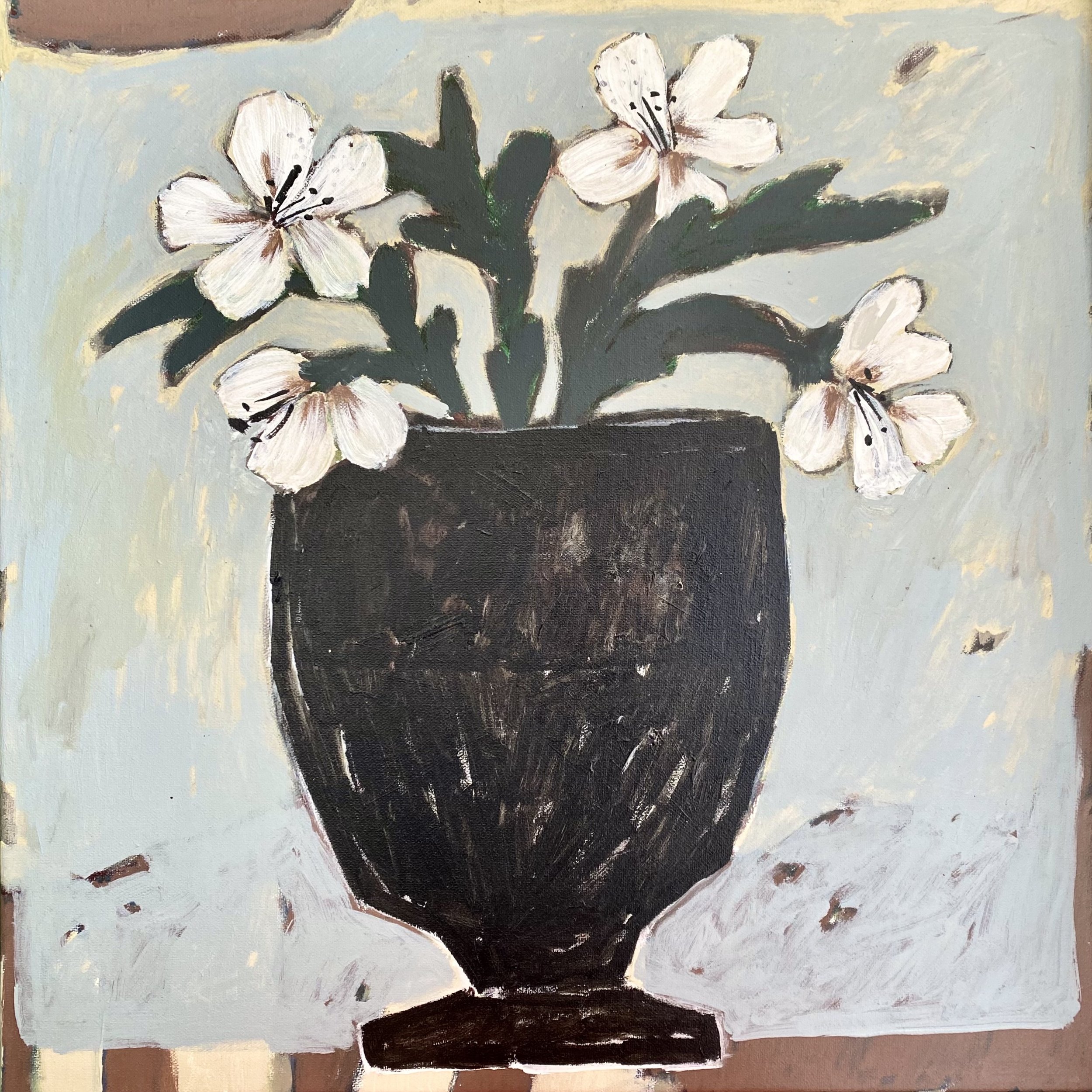 Blooms on show.jpg