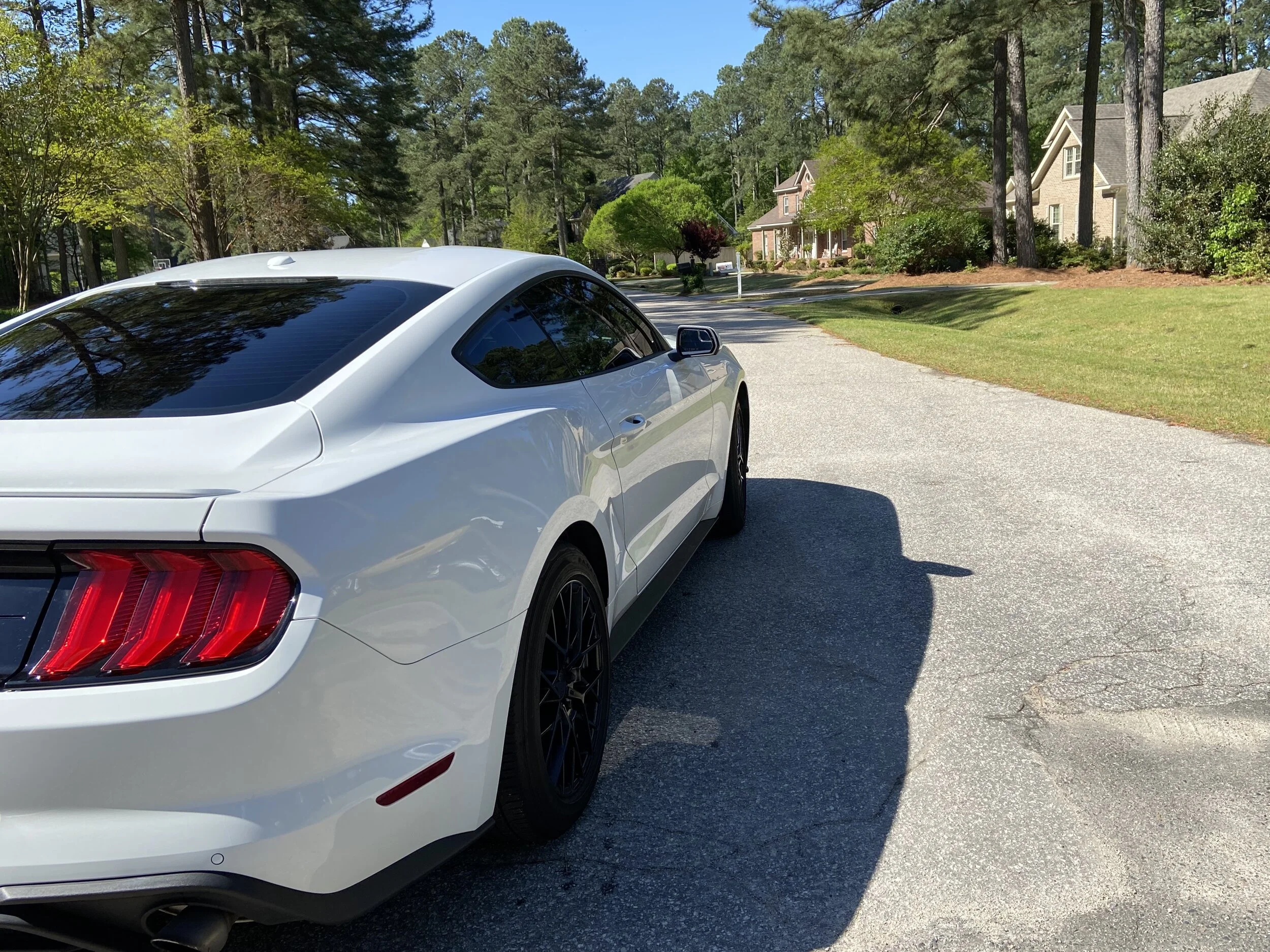 White Mustang.jpg