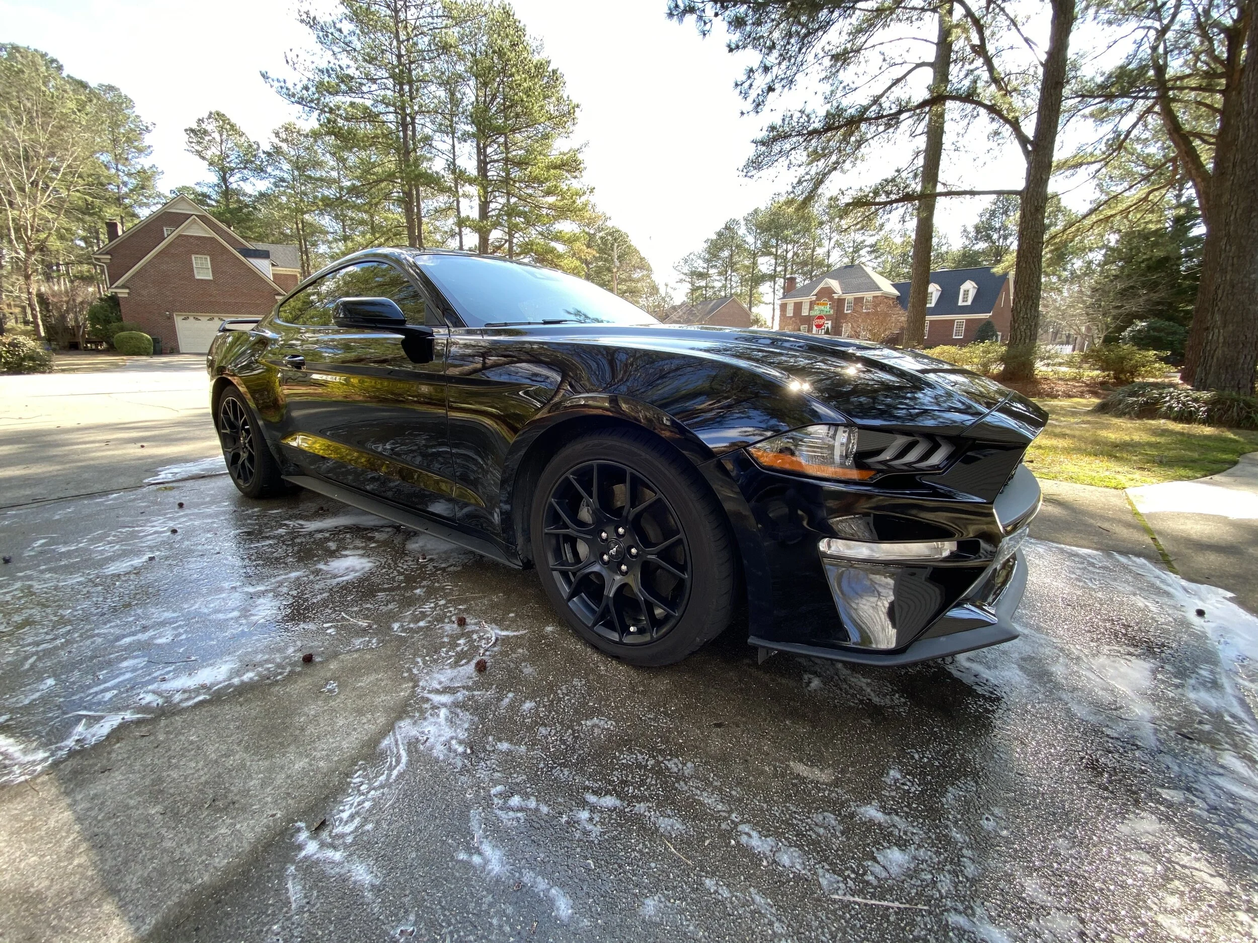 Black mustang.jpg